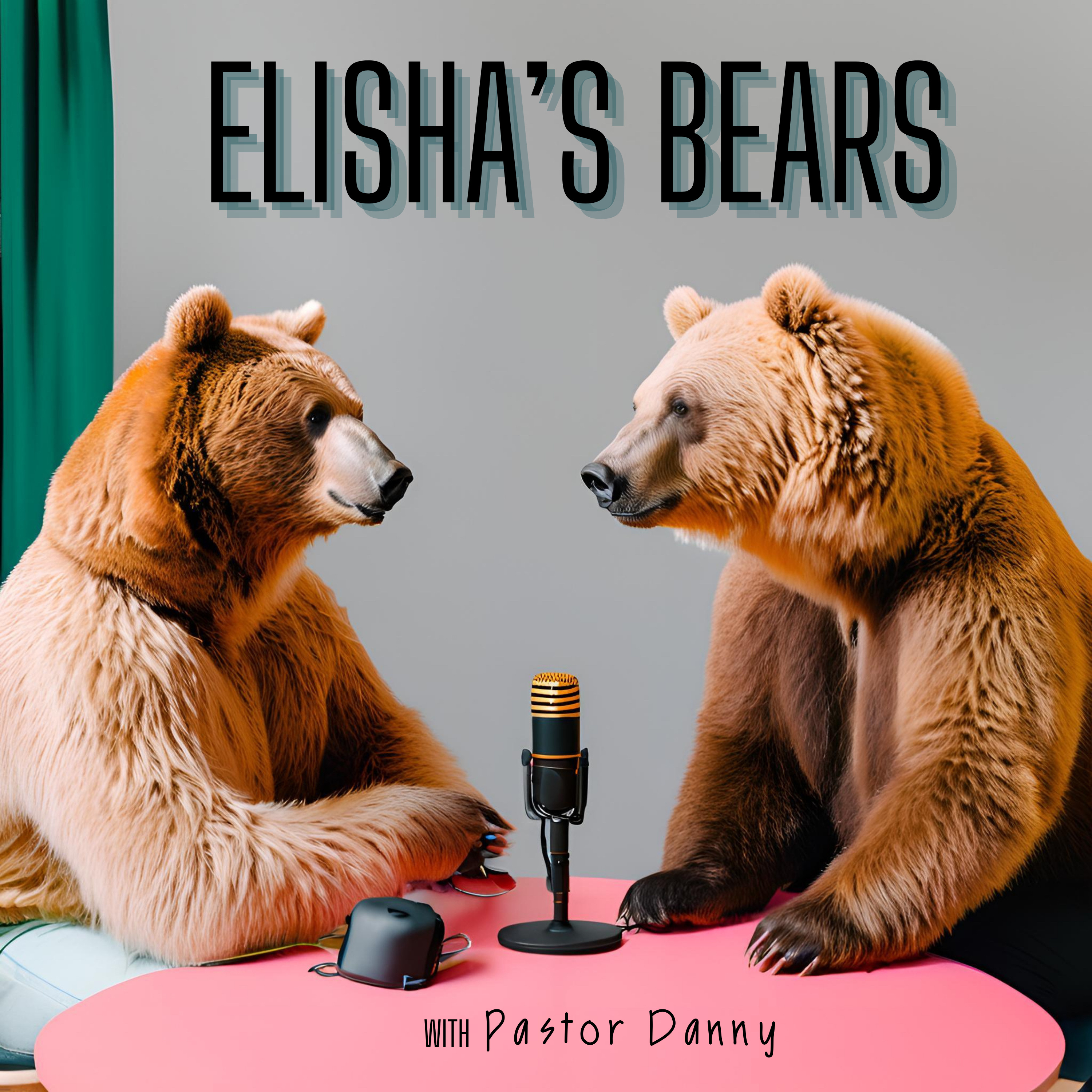 Elisha\'s Bears: Talking Faith, Bible, and Baptists