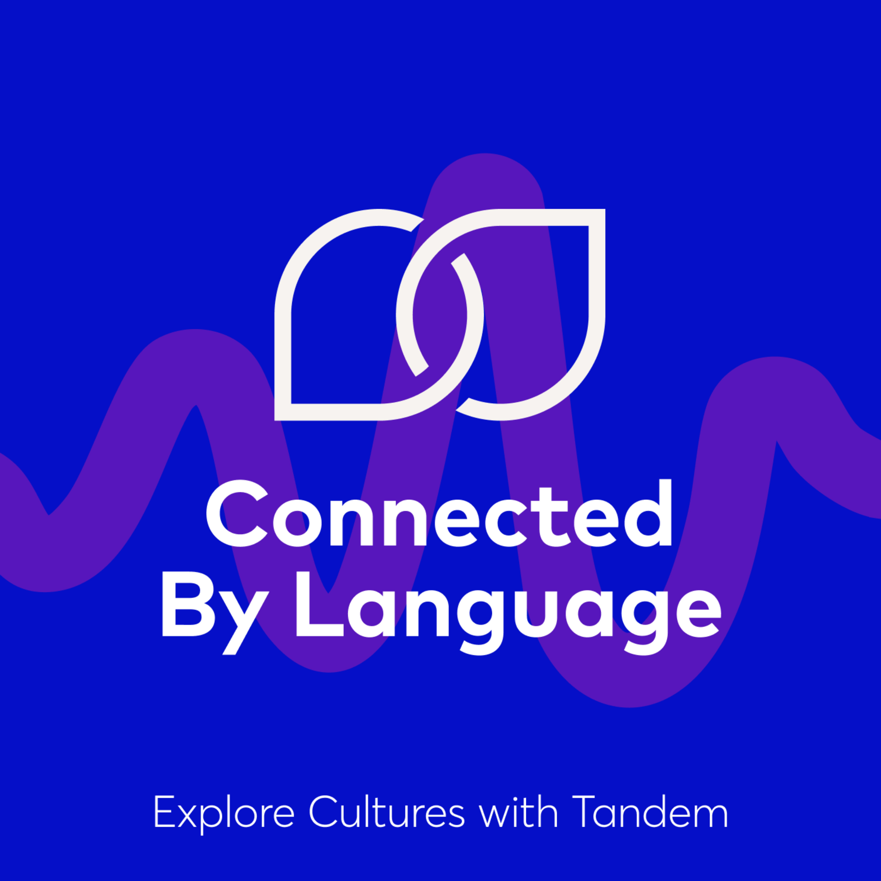 Connected By Language: Polyglot Interviews