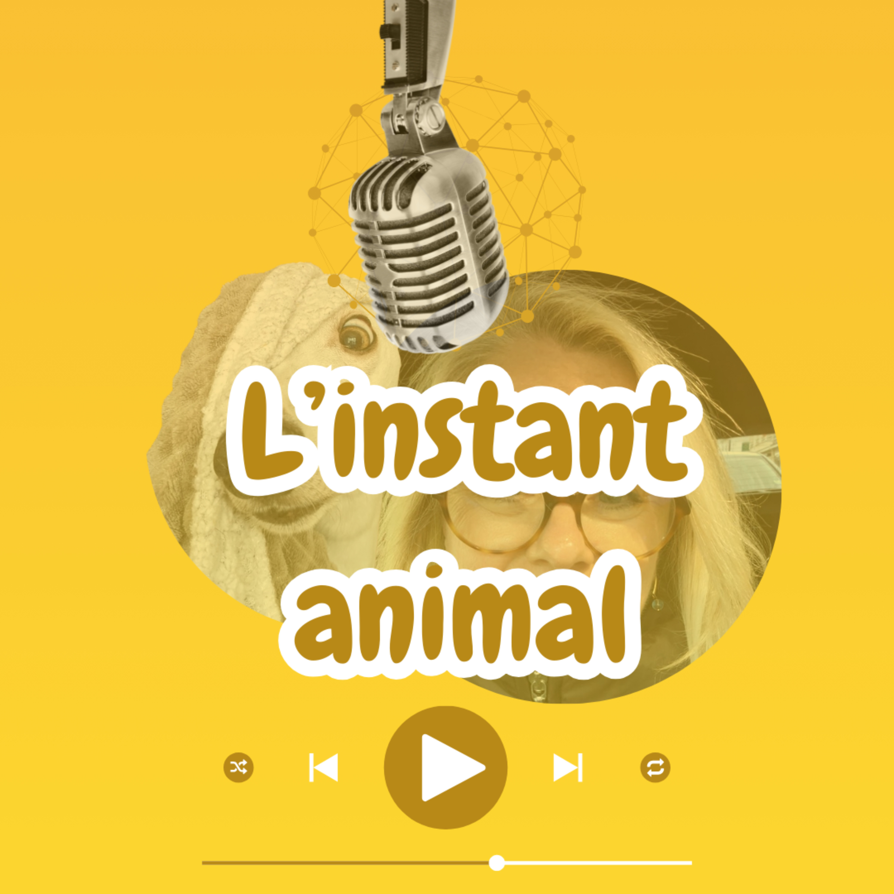 L\'instant animal