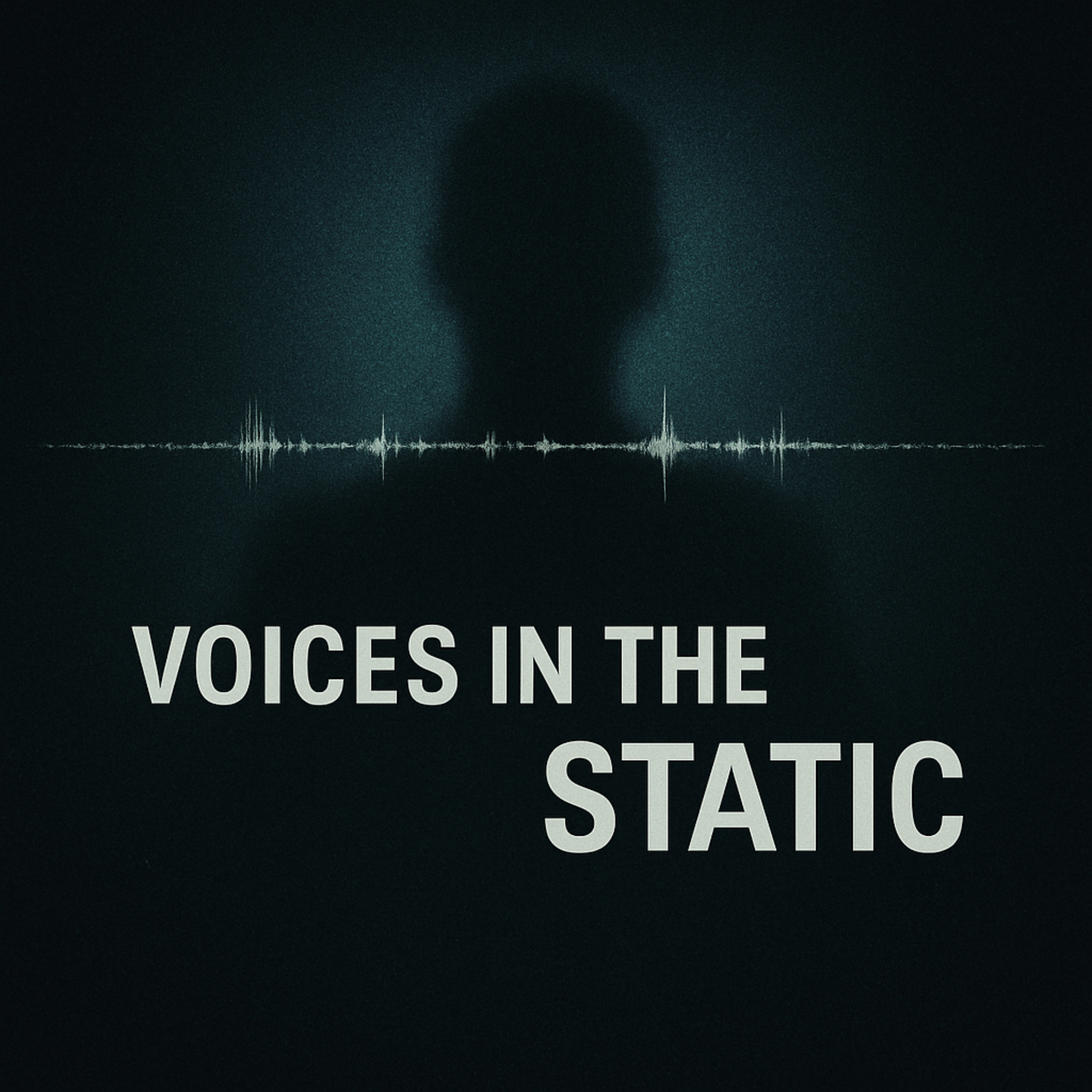 Voices in the Static