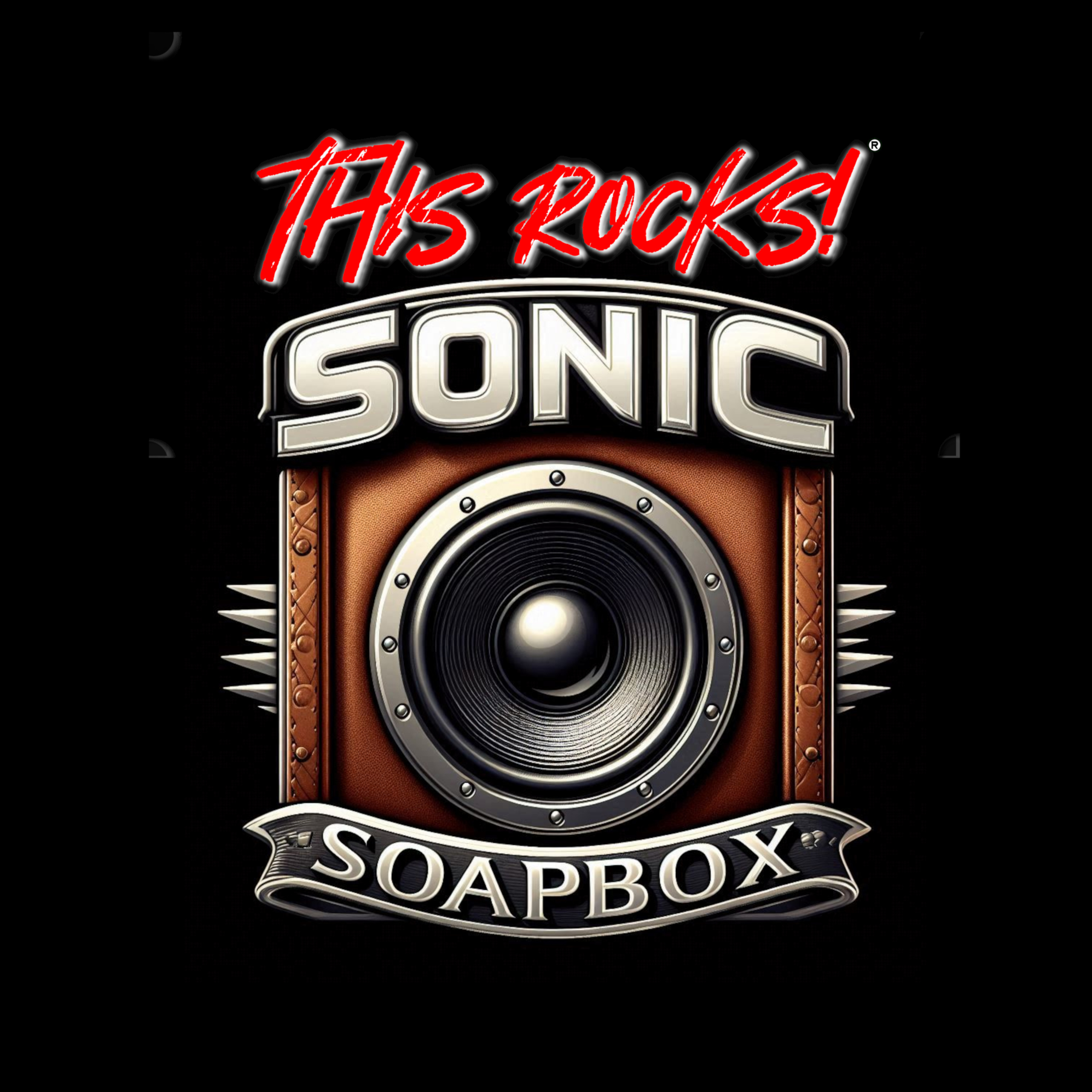 This Rocks! Sonic Soapbox