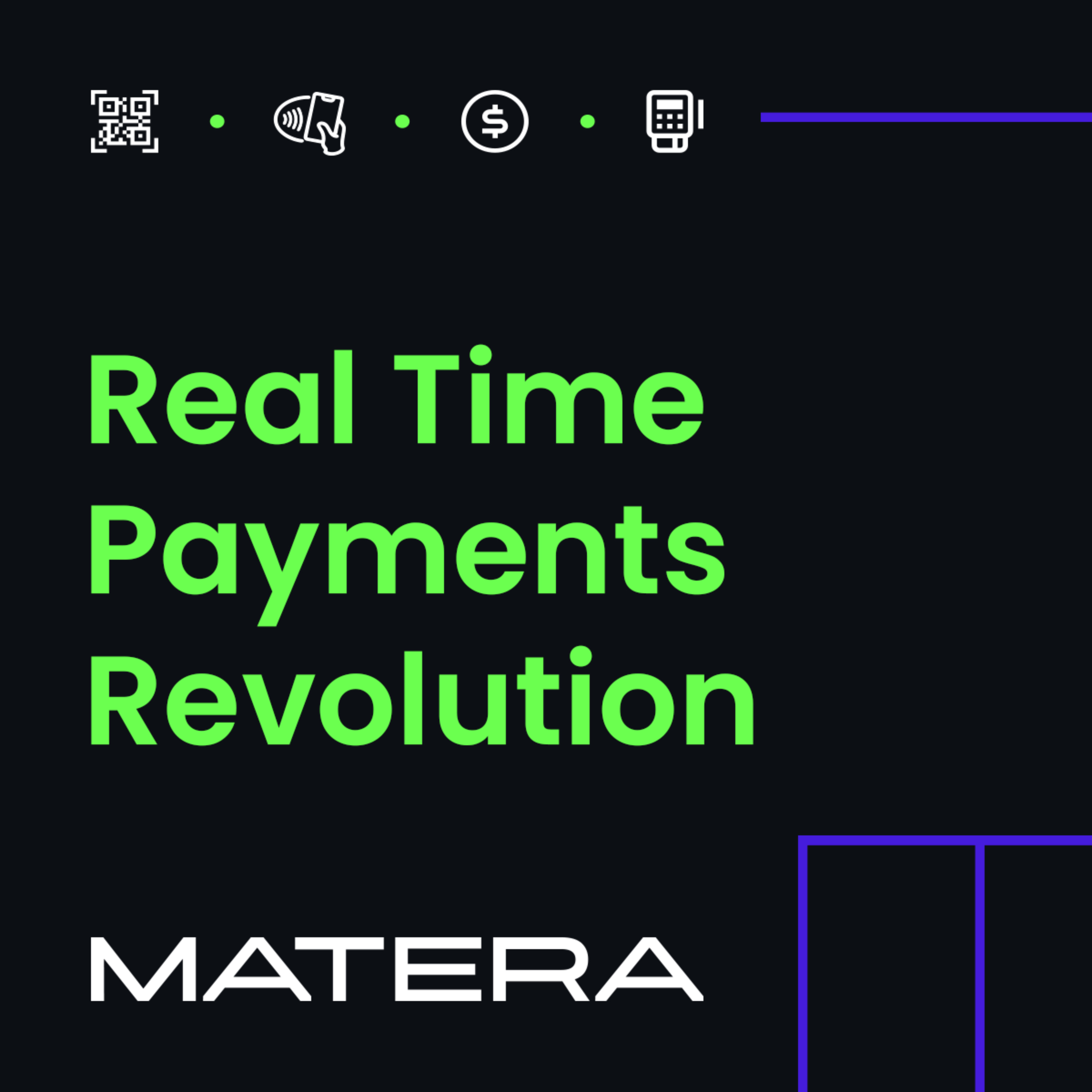 Real Time Payments Revolution