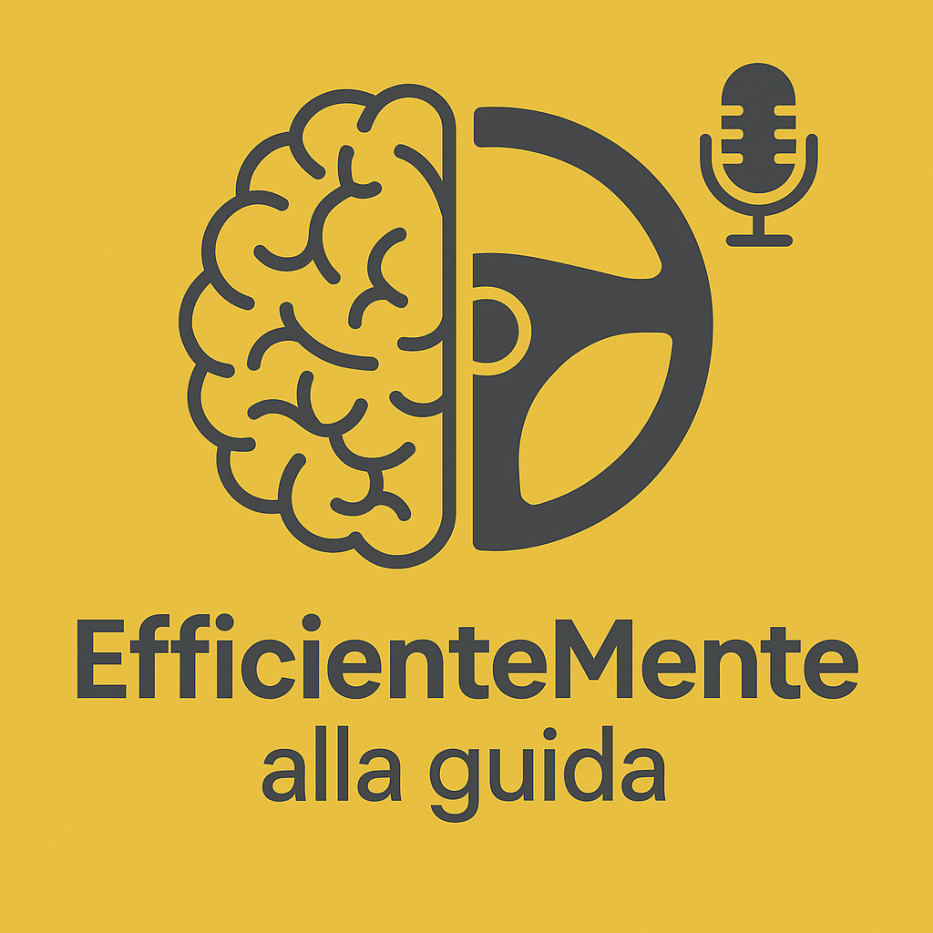 EfficienteMente alla guida
