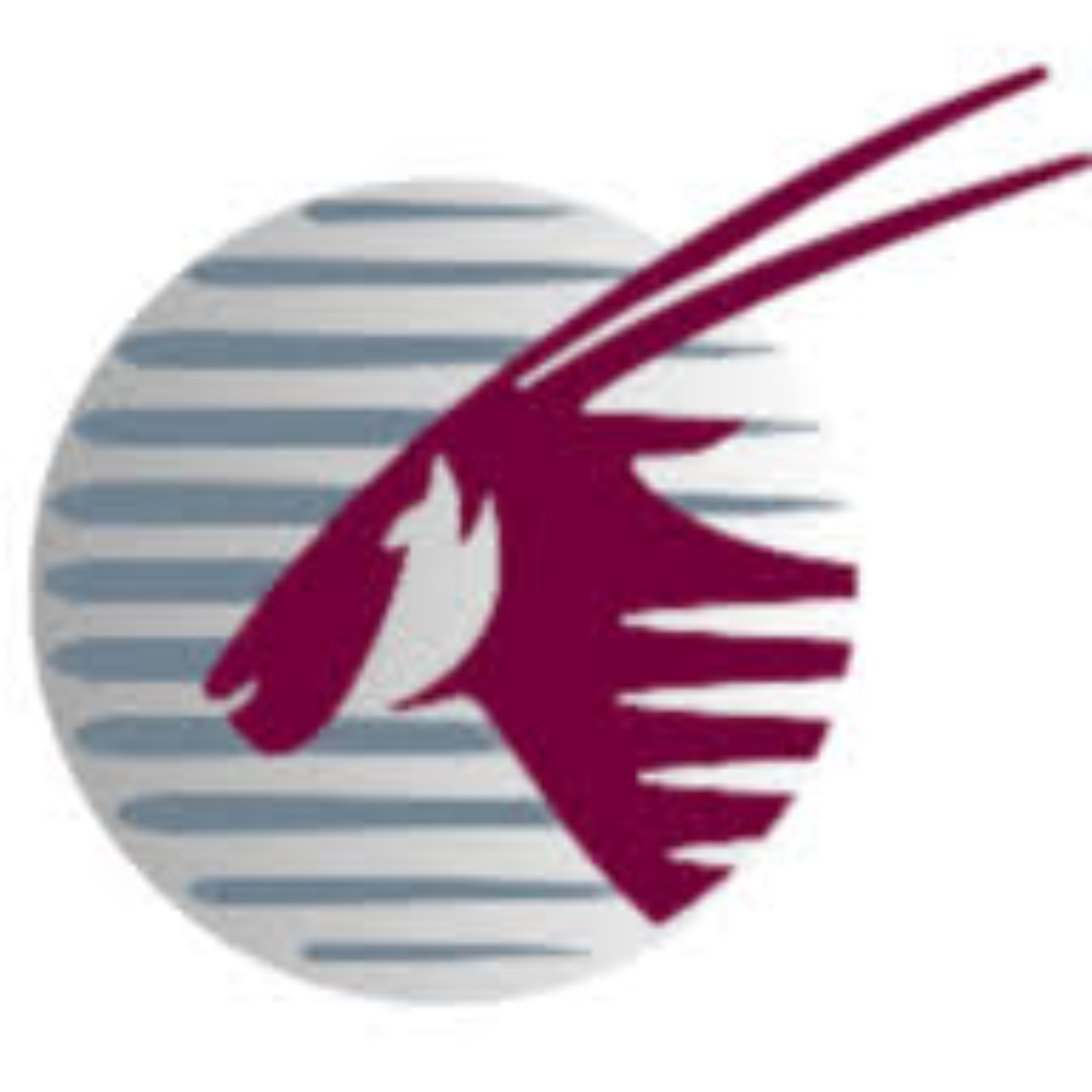 How I Checked My Qatar Visa Online Easily:Naeemali