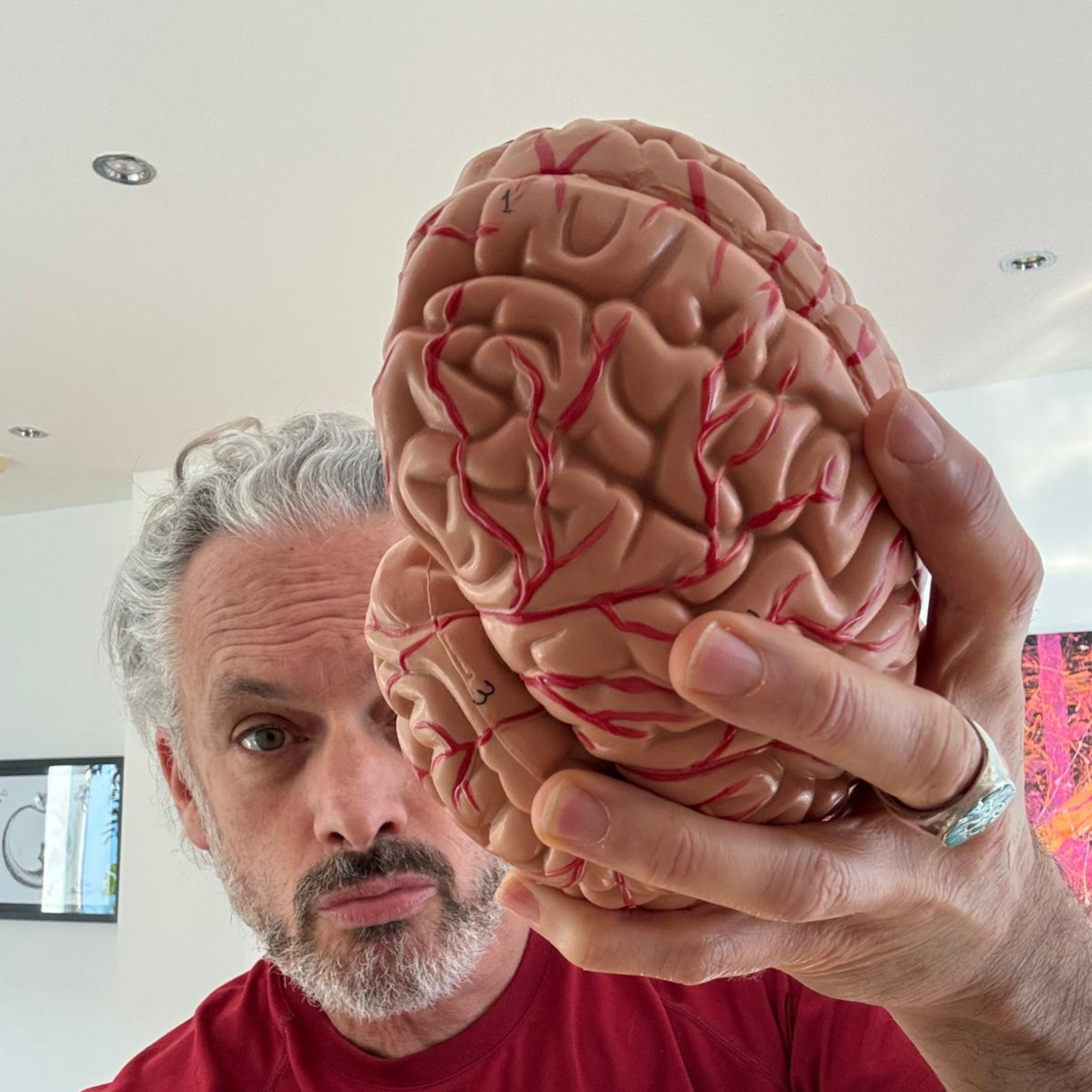 The Lizard Eats Its Tail: Who Are You Talking To? Identity, Psychology, and the Marketing Gap podcast artwork