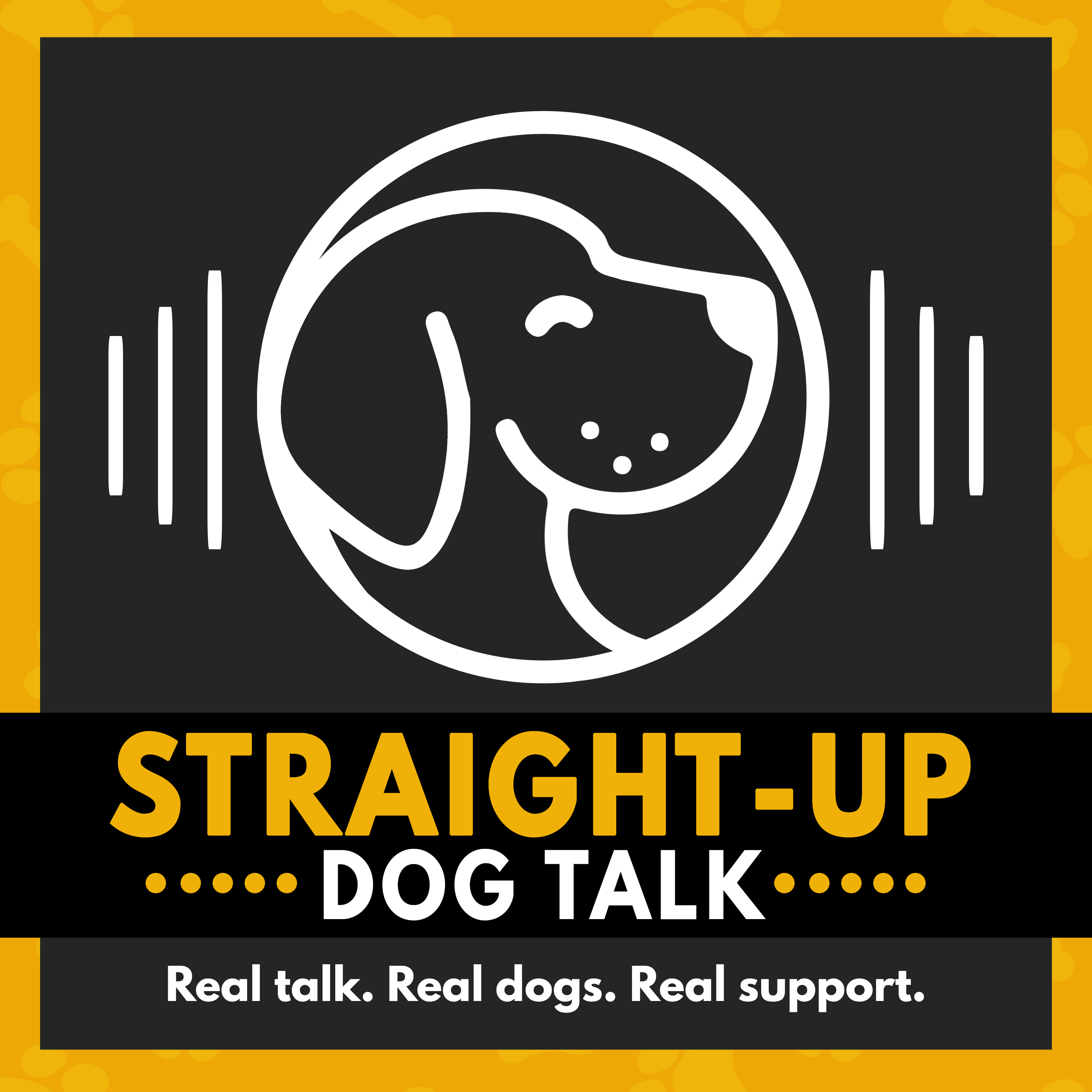 Straight Up Dog Talk