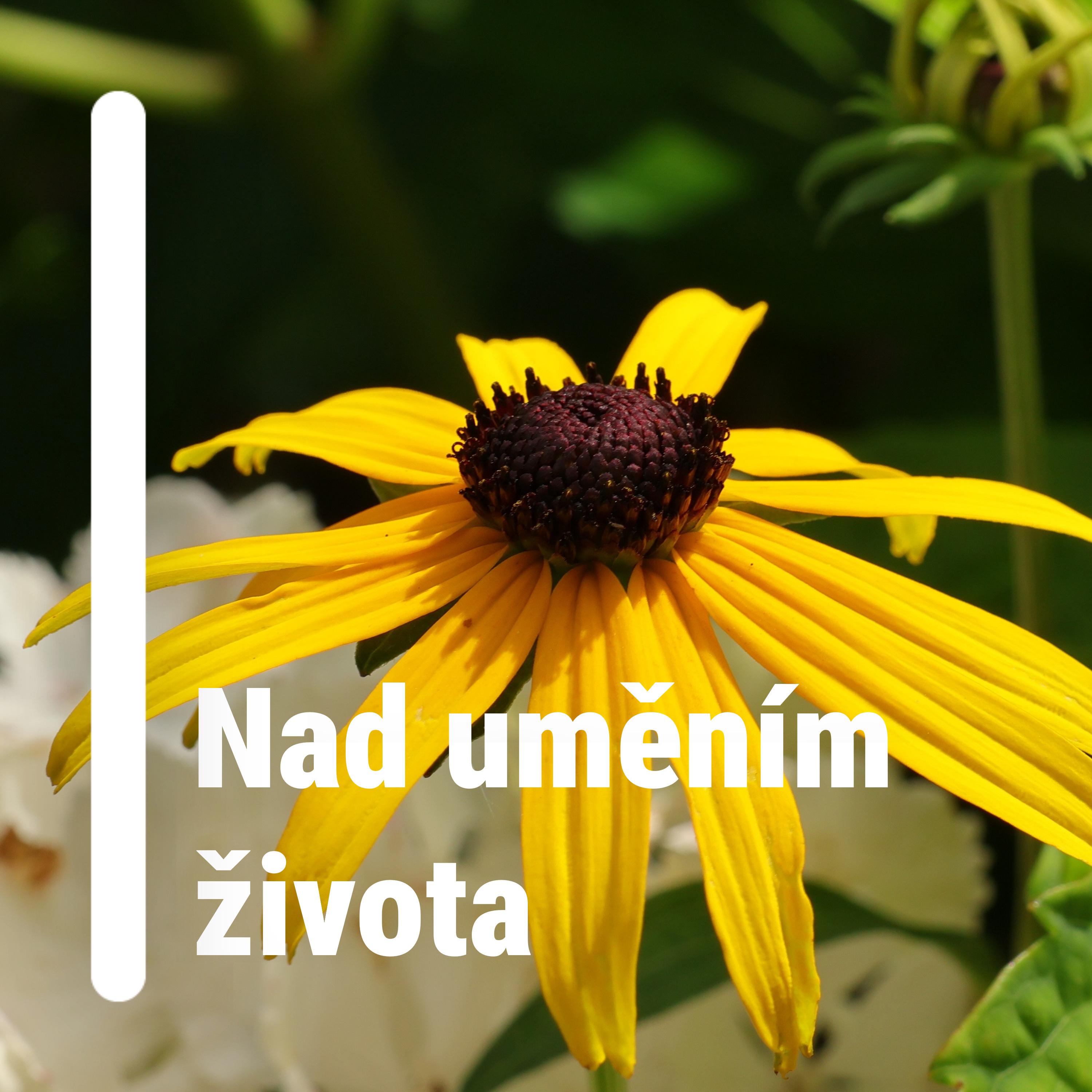 Nad uměním života podcast artwork