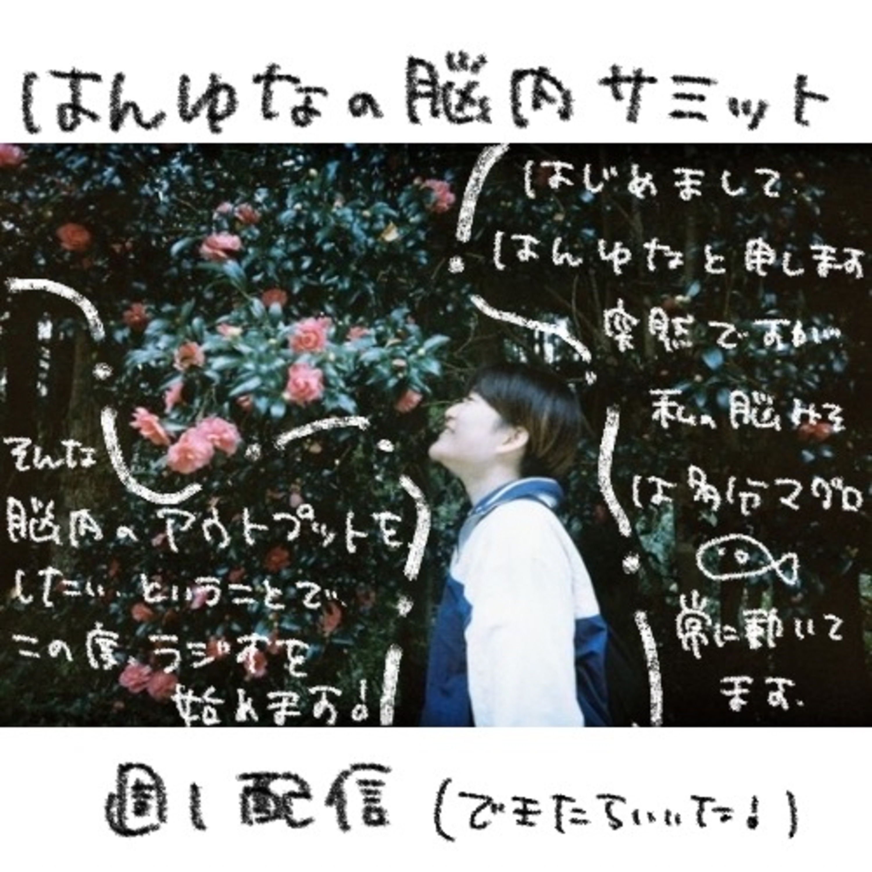 はんゆなの脳内サミット