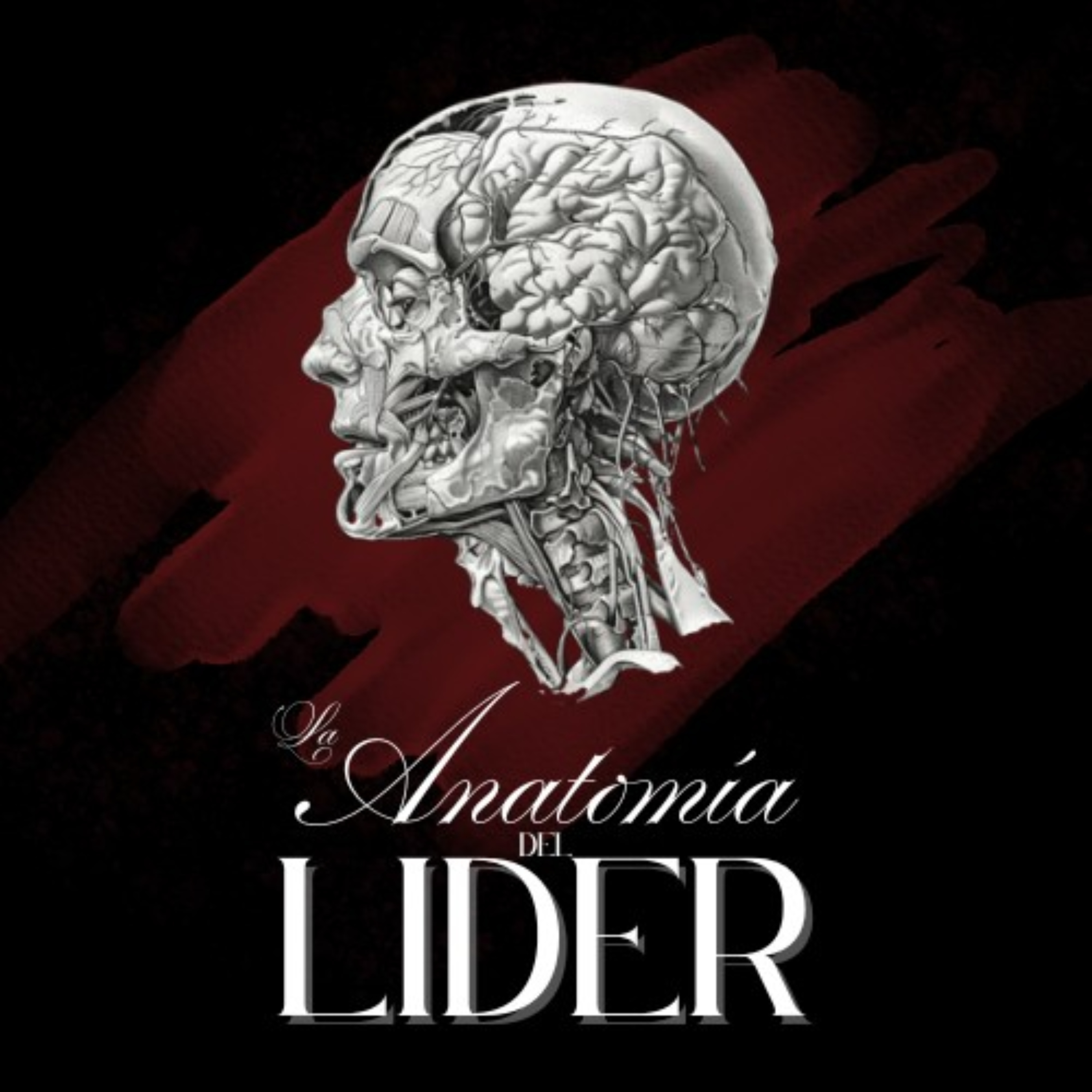 La Anatomía del Lider
