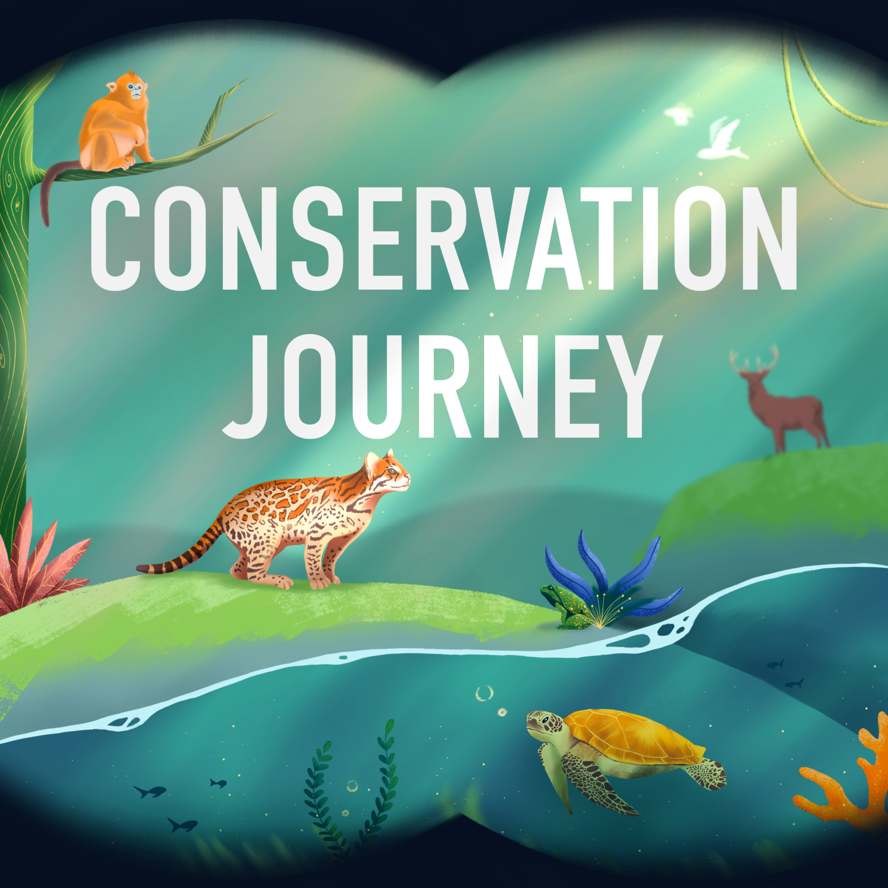 Conservation Journey
