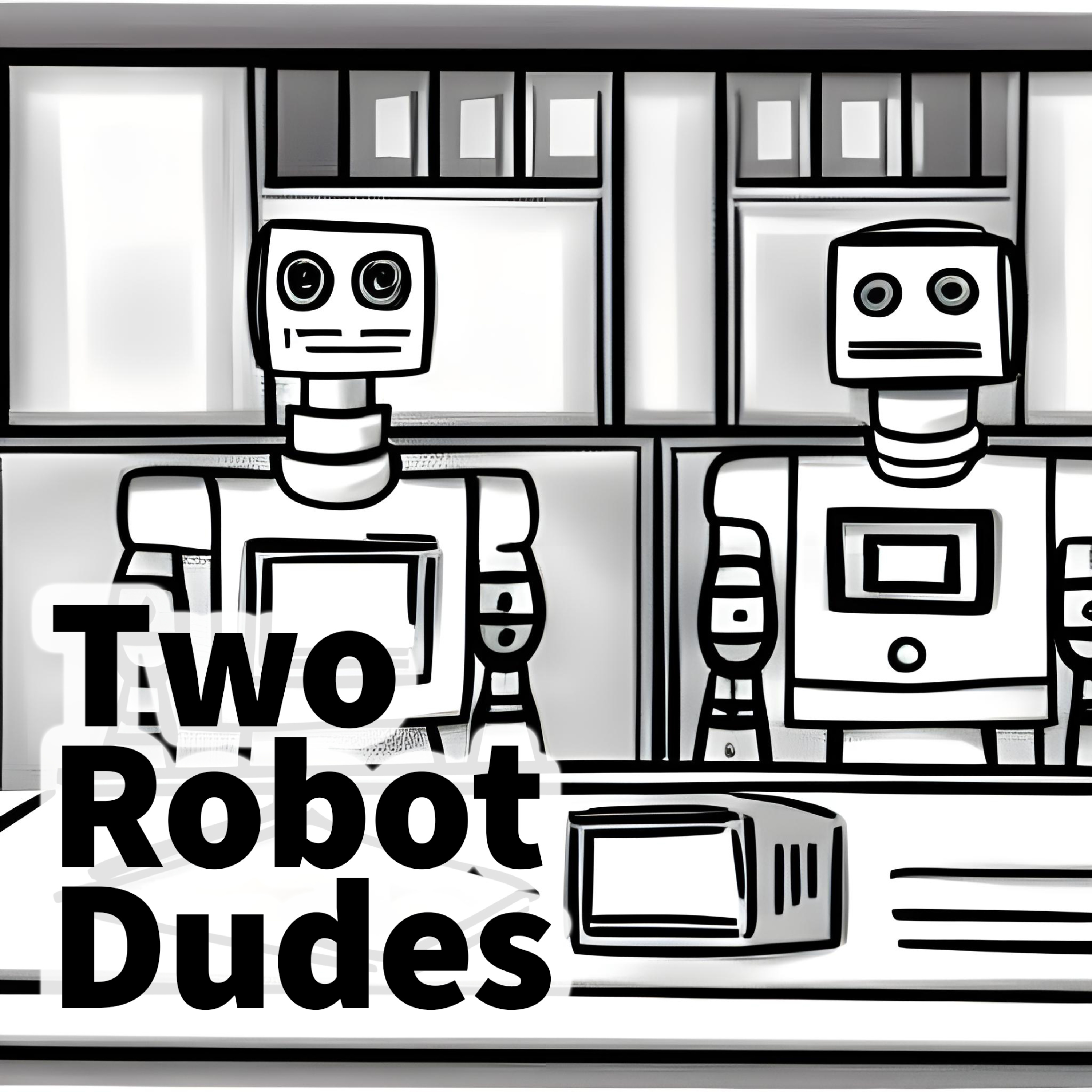 Two Robot Dudes