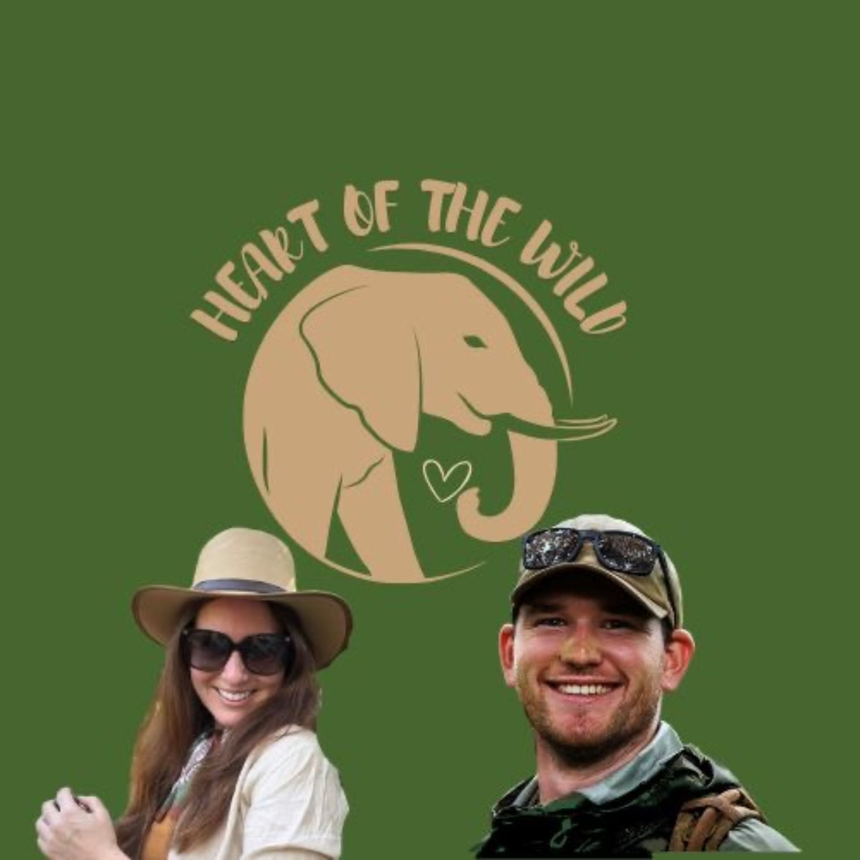 Wild Dogs: The Untamed Side of Man’s Best Friend episode artwork