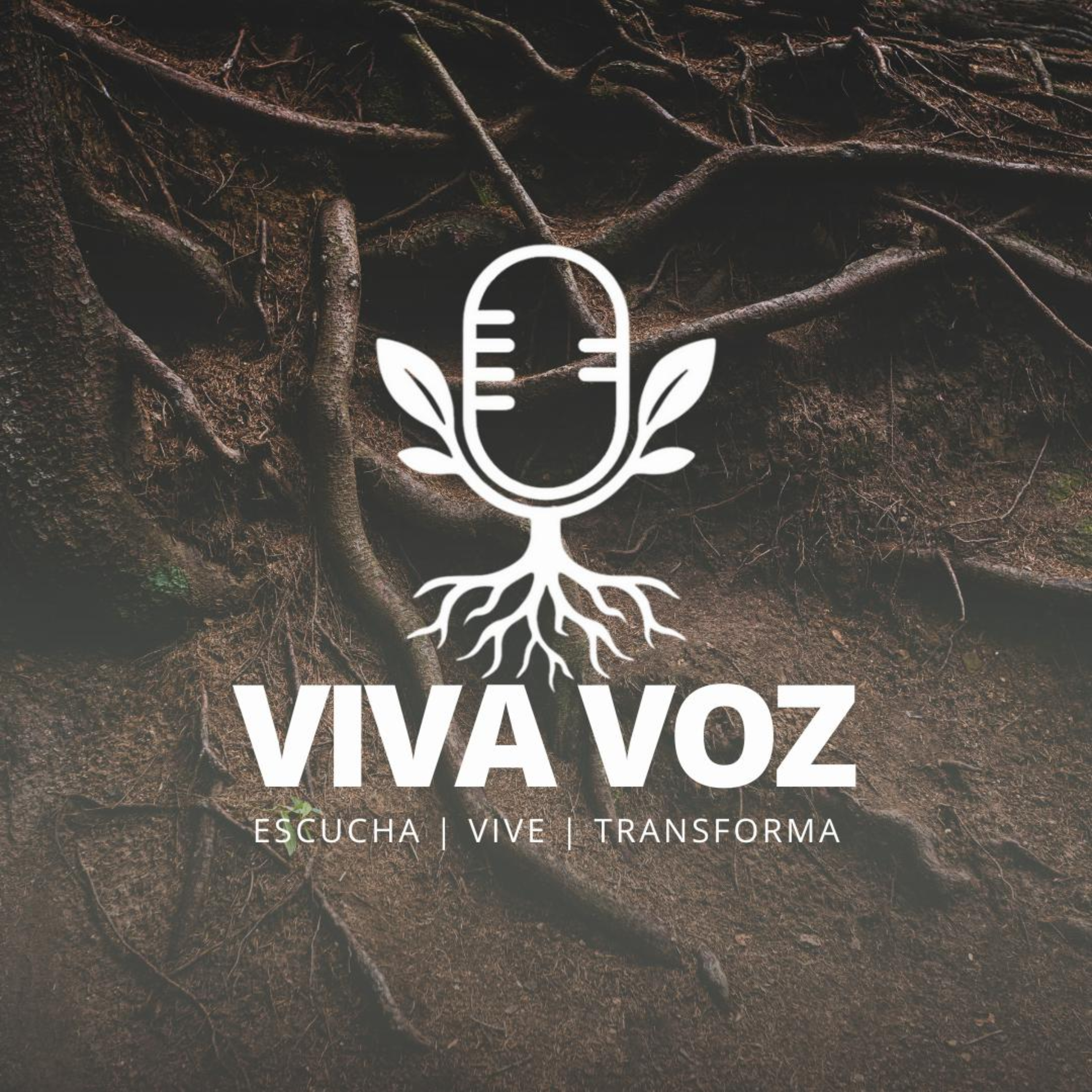 28/11 – Cuando la prisa se vuelve tu dios