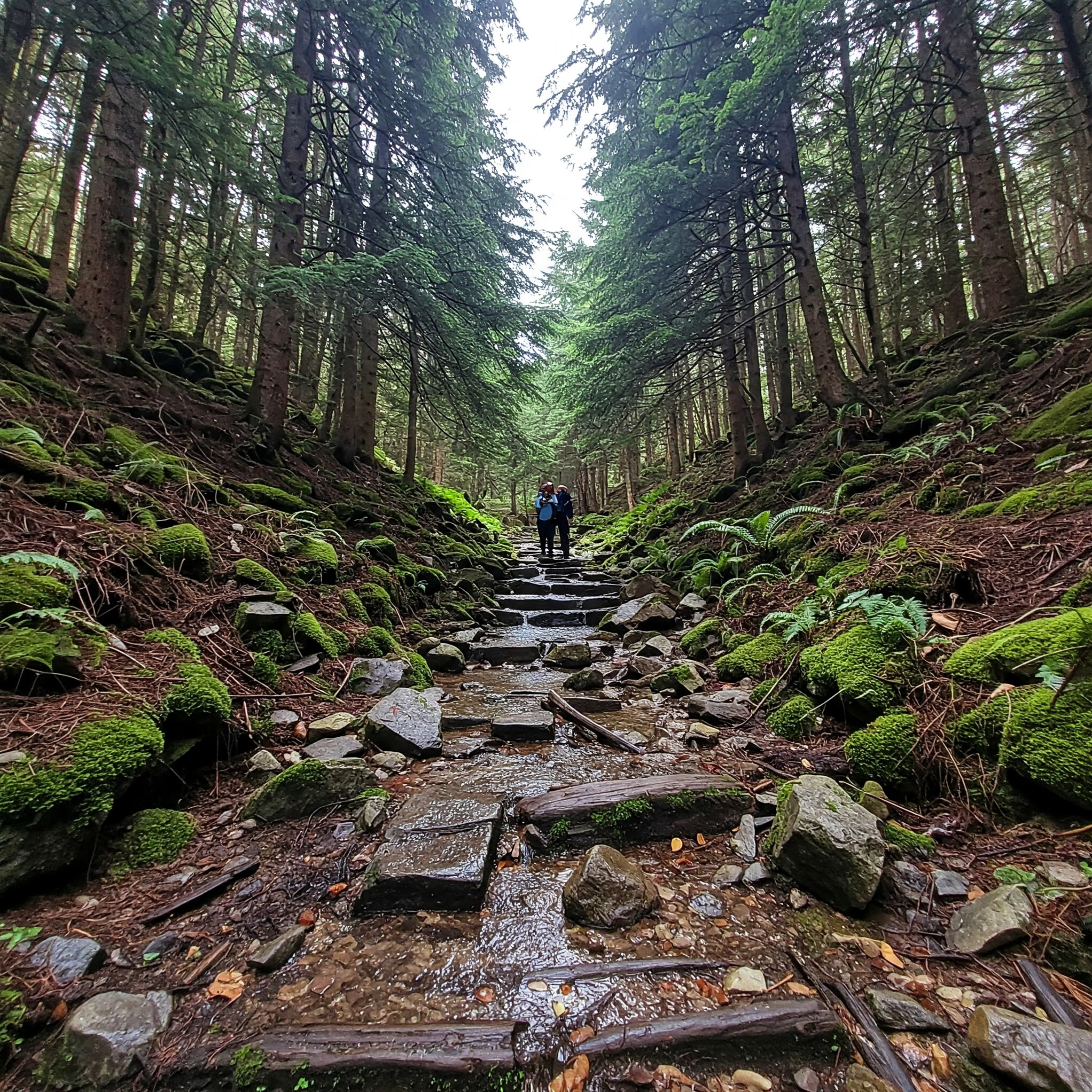 要介護認定のお勉強