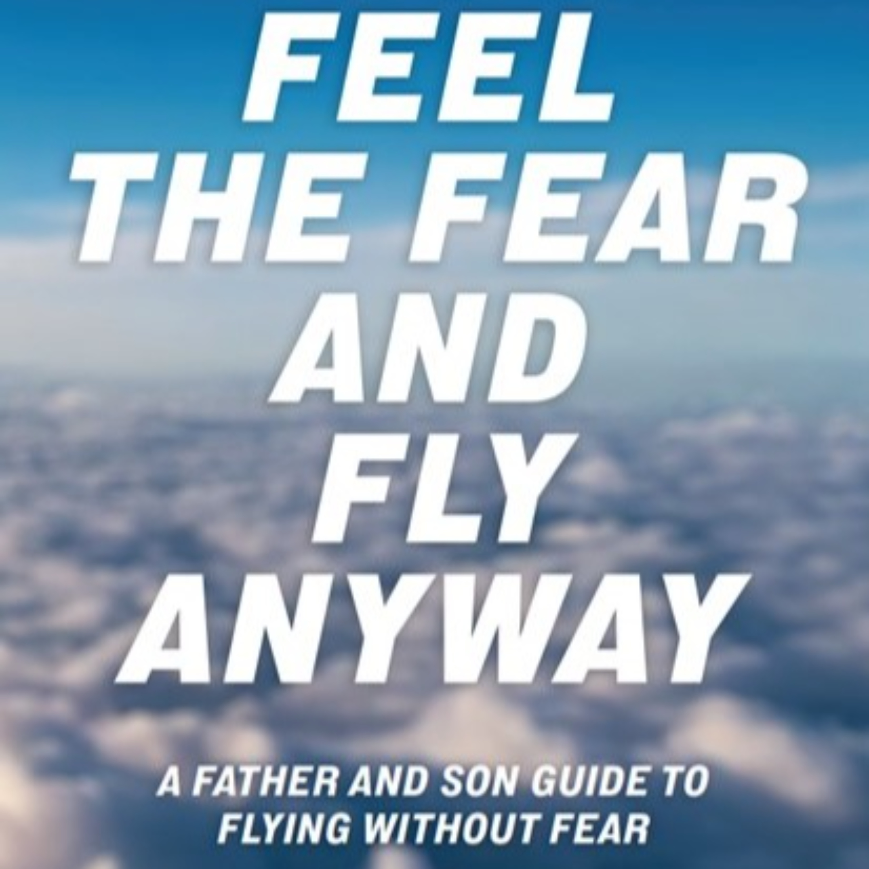 Feel the Fear and Fly Anyway