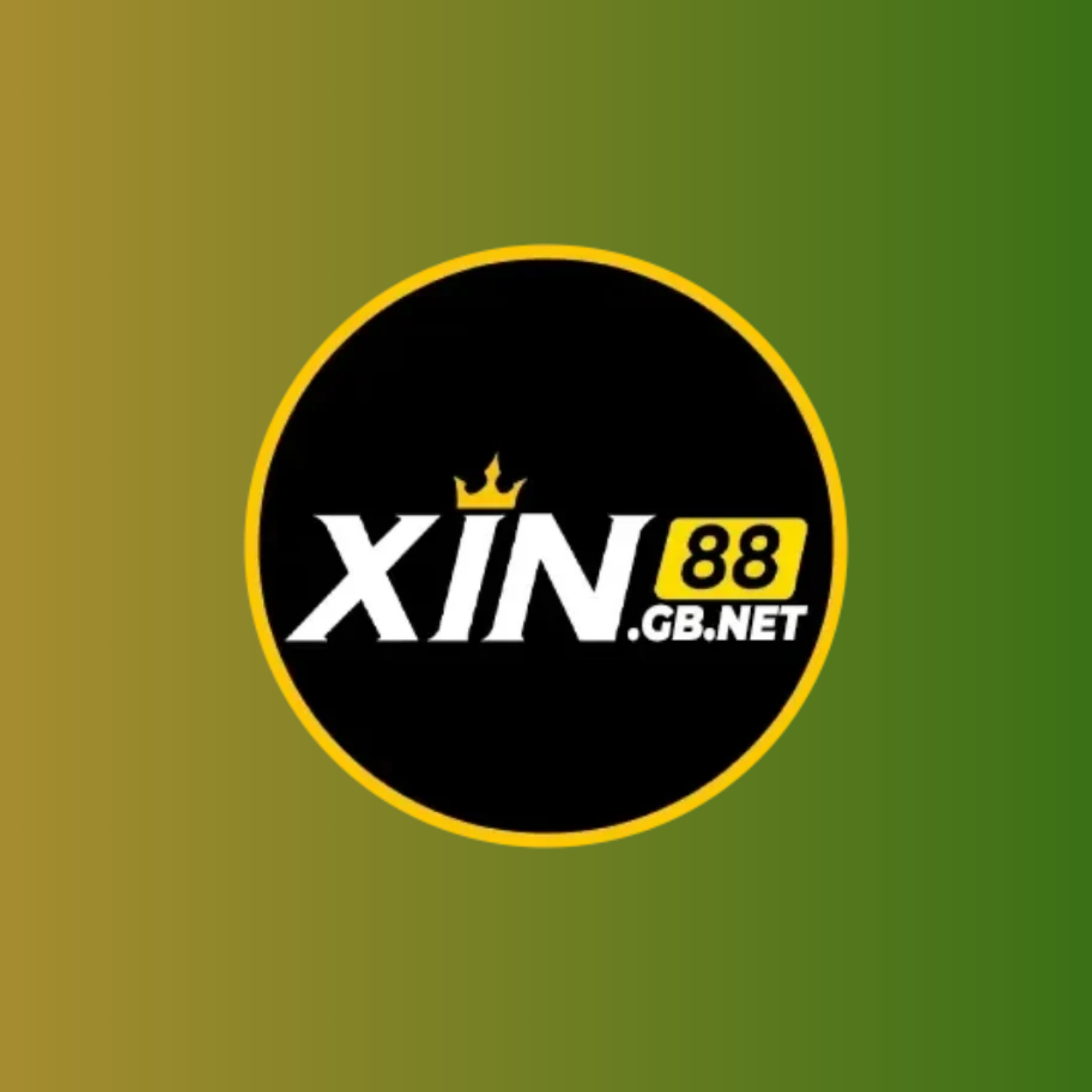 Xin88