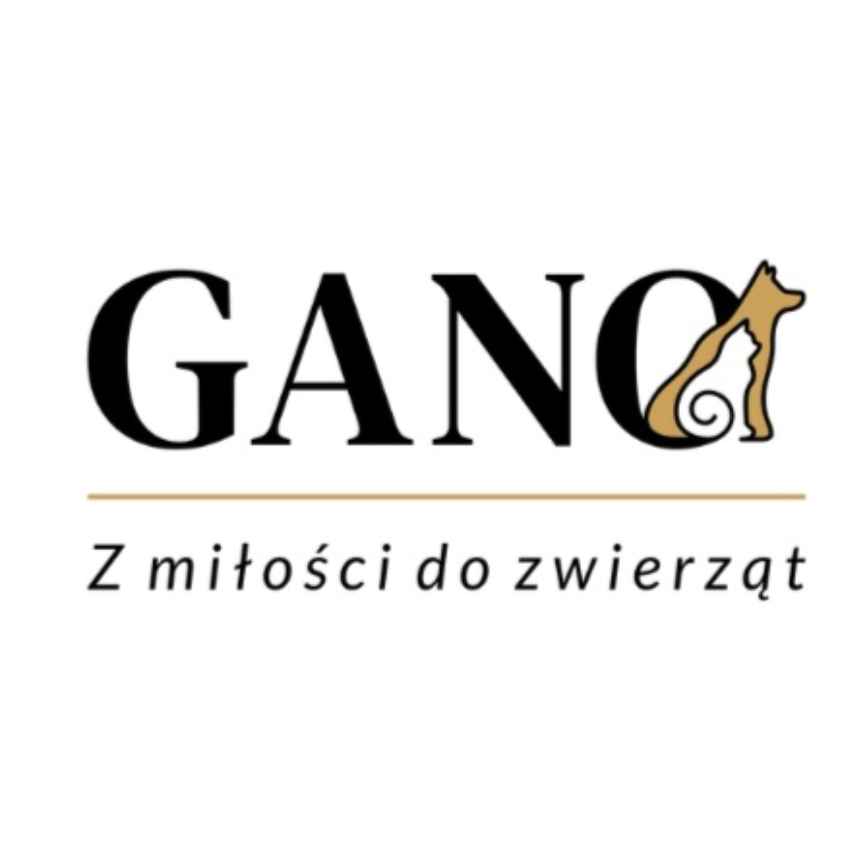 Zimowa zadyma z naszymi psami i kotami oraz co musisz wiedzieć przed spacerem w mrozie!