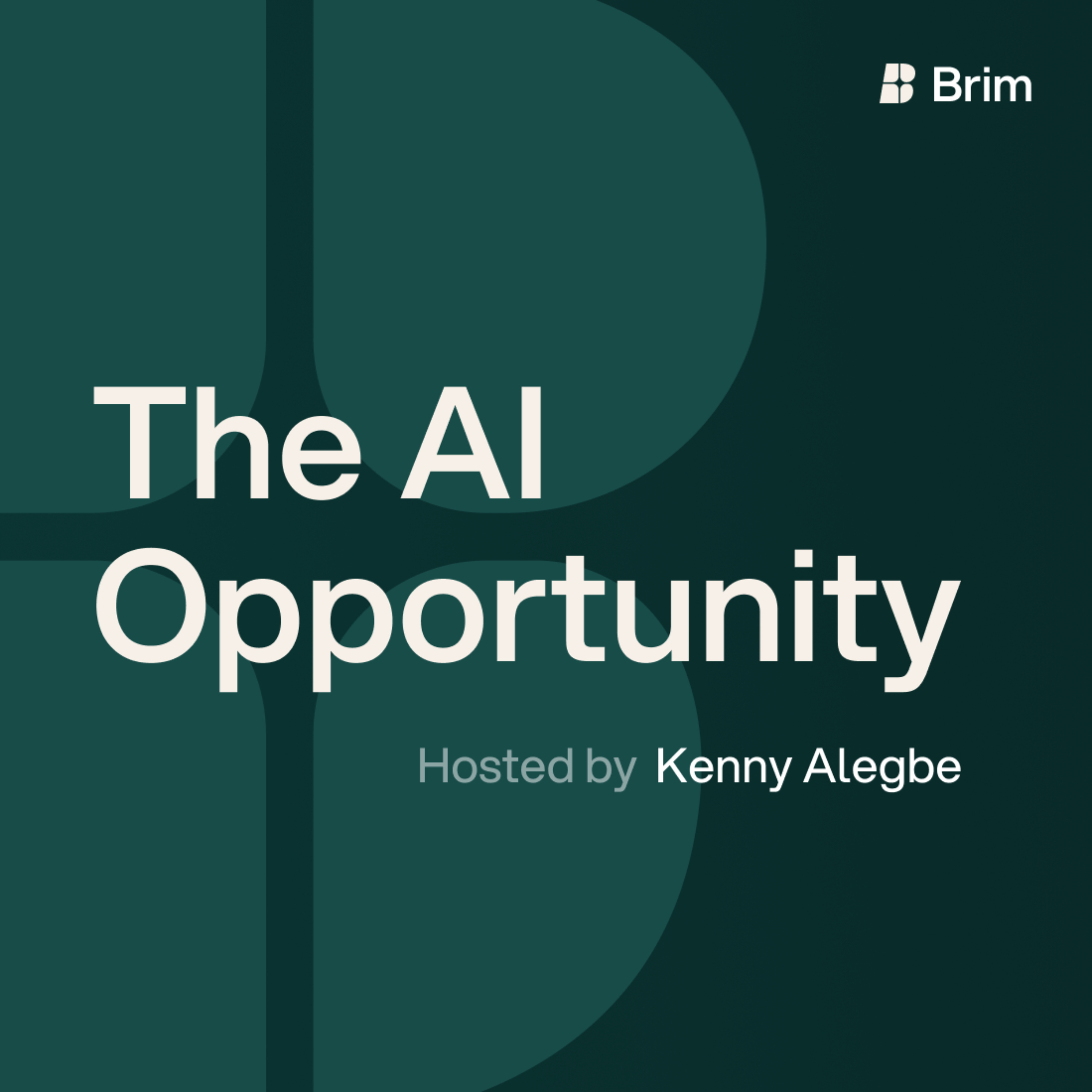 The AI Opportunity