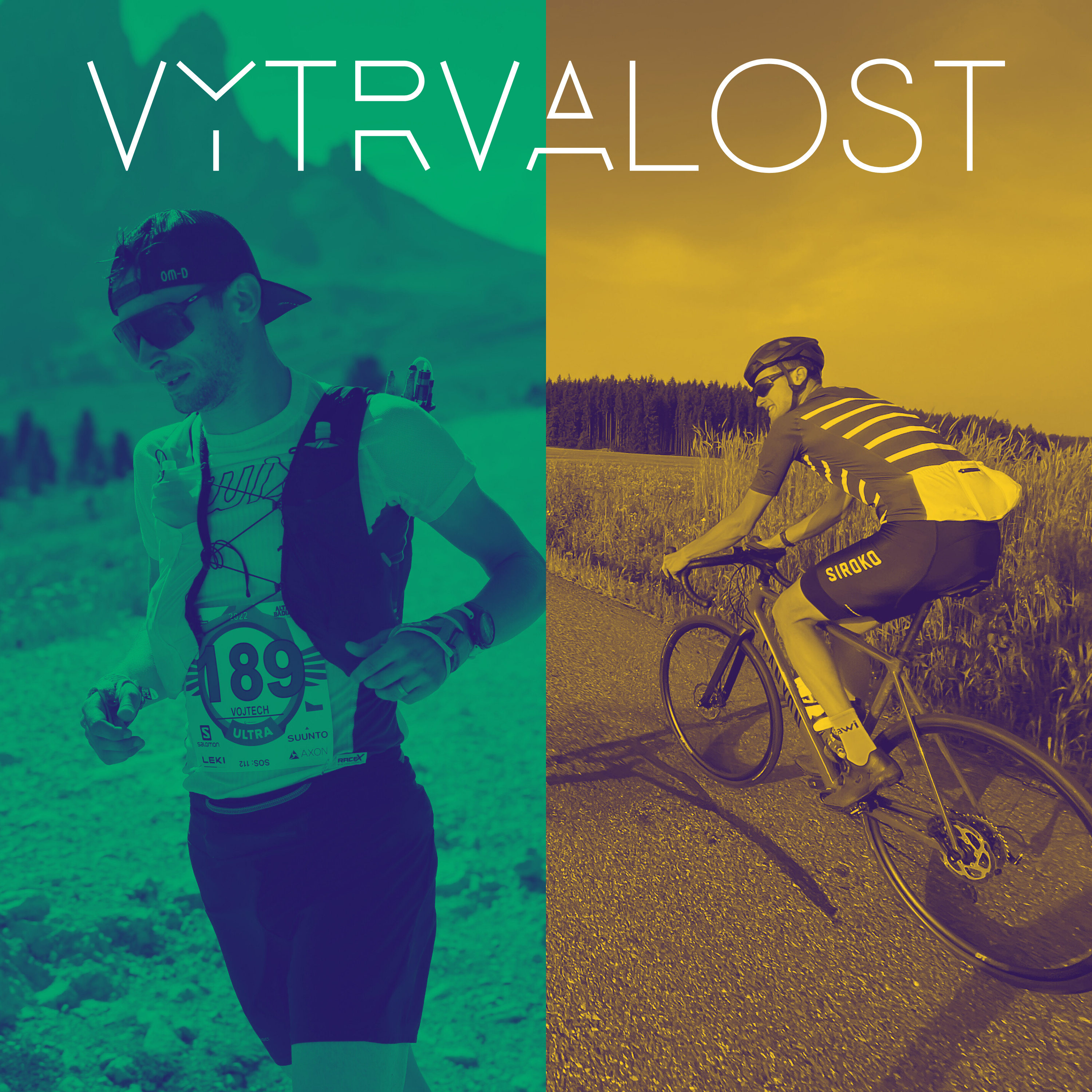Vytrvalost