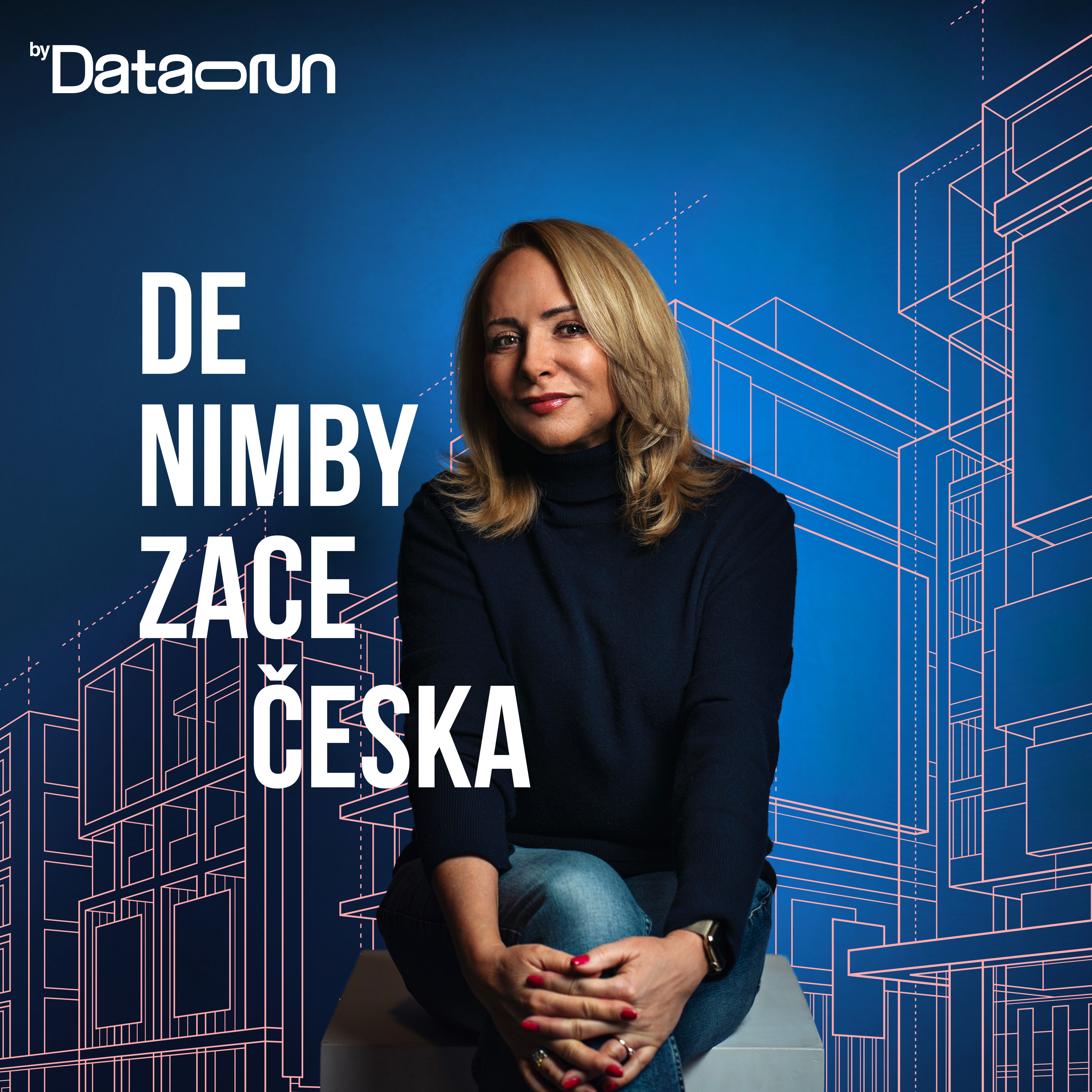 DeNIMBYzace