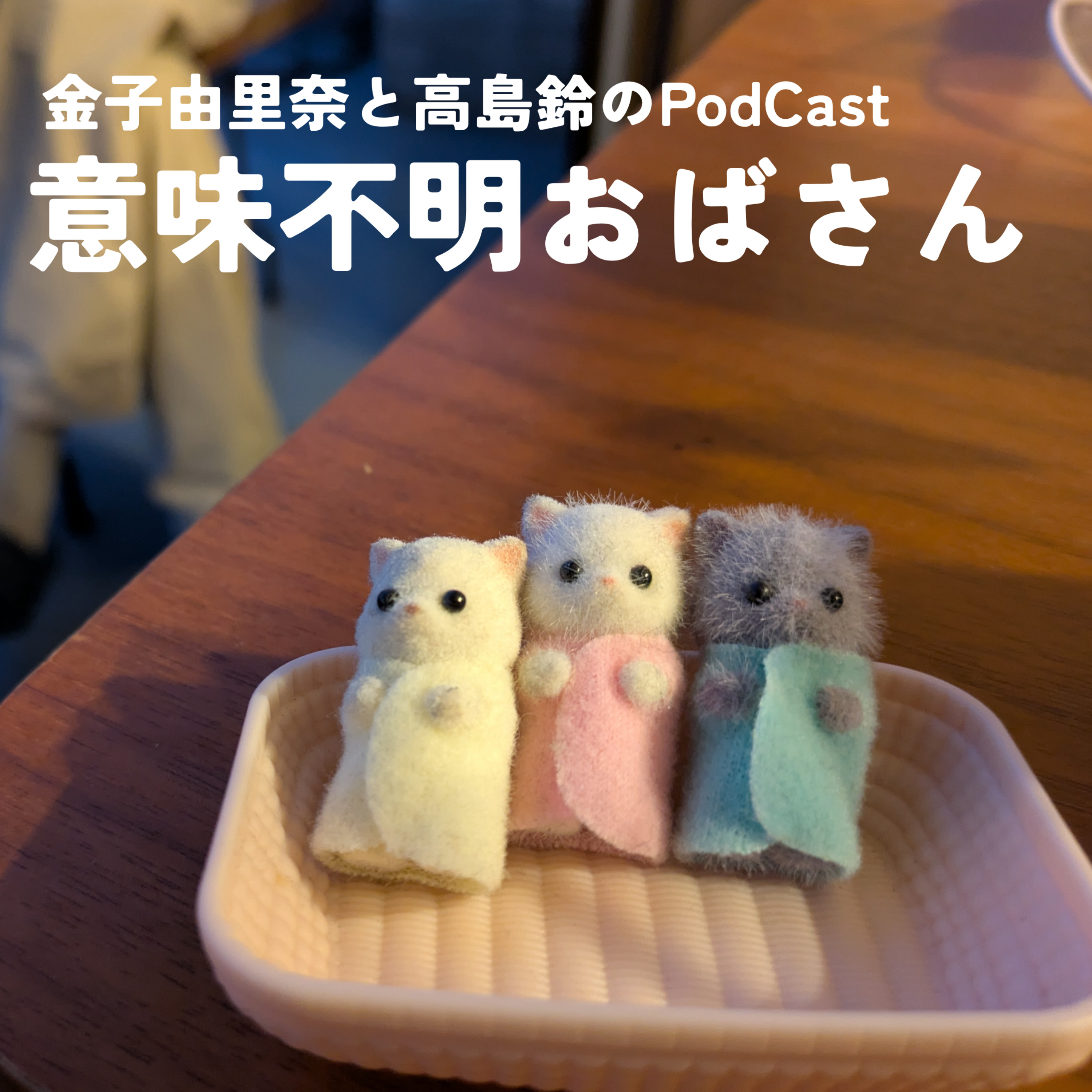 意味不明おばさん