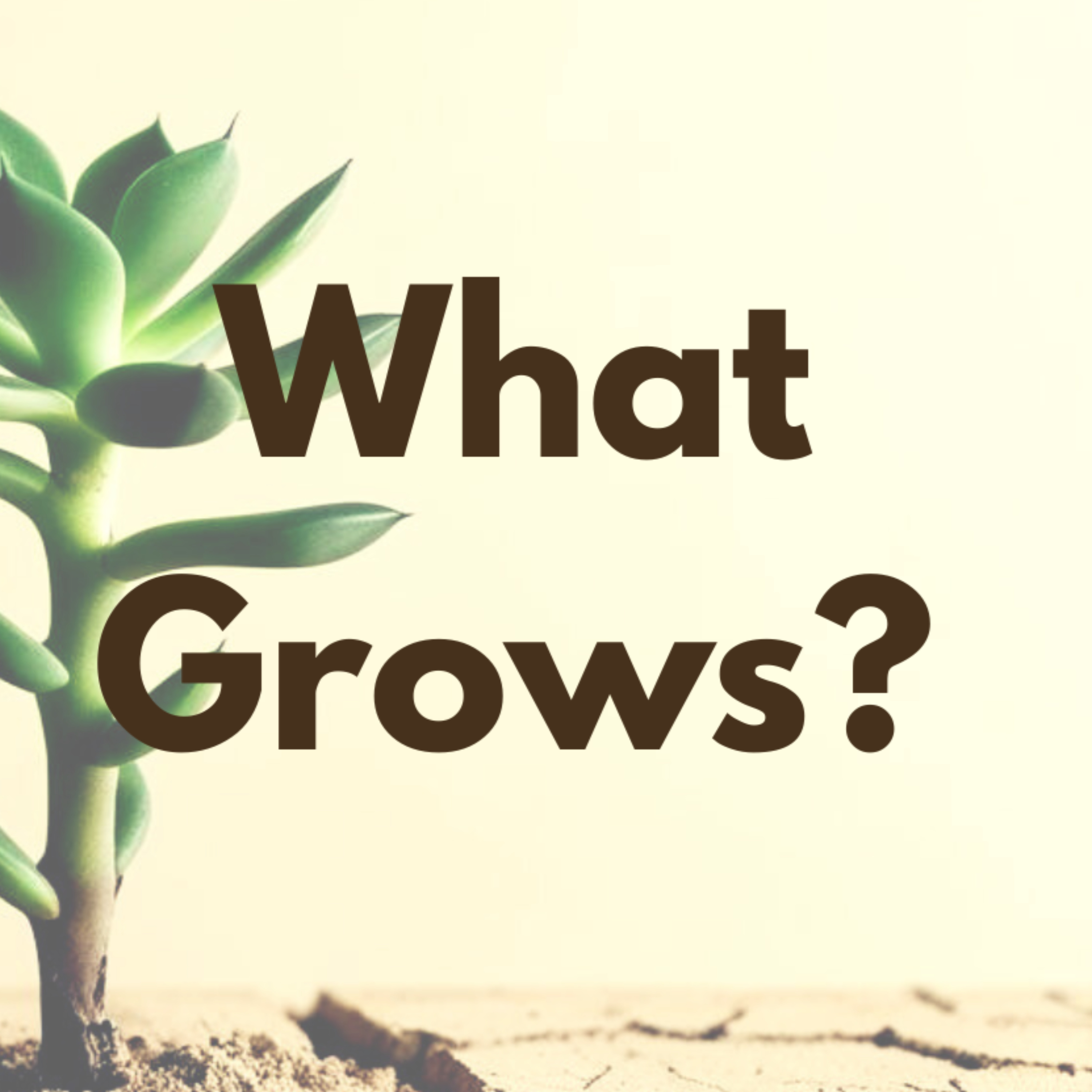 What Grows?