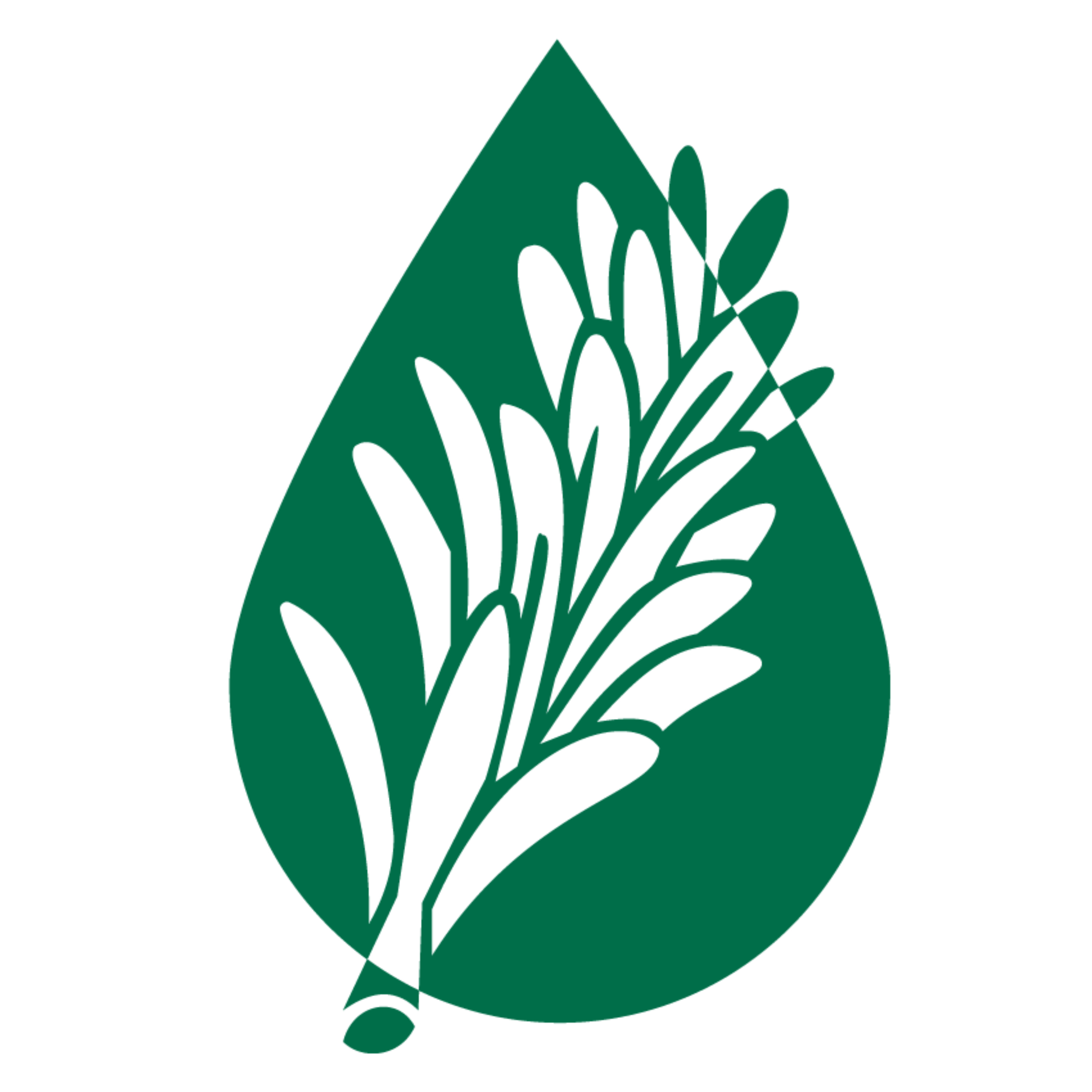 Benefits of Rosemary Oil podcast artwork