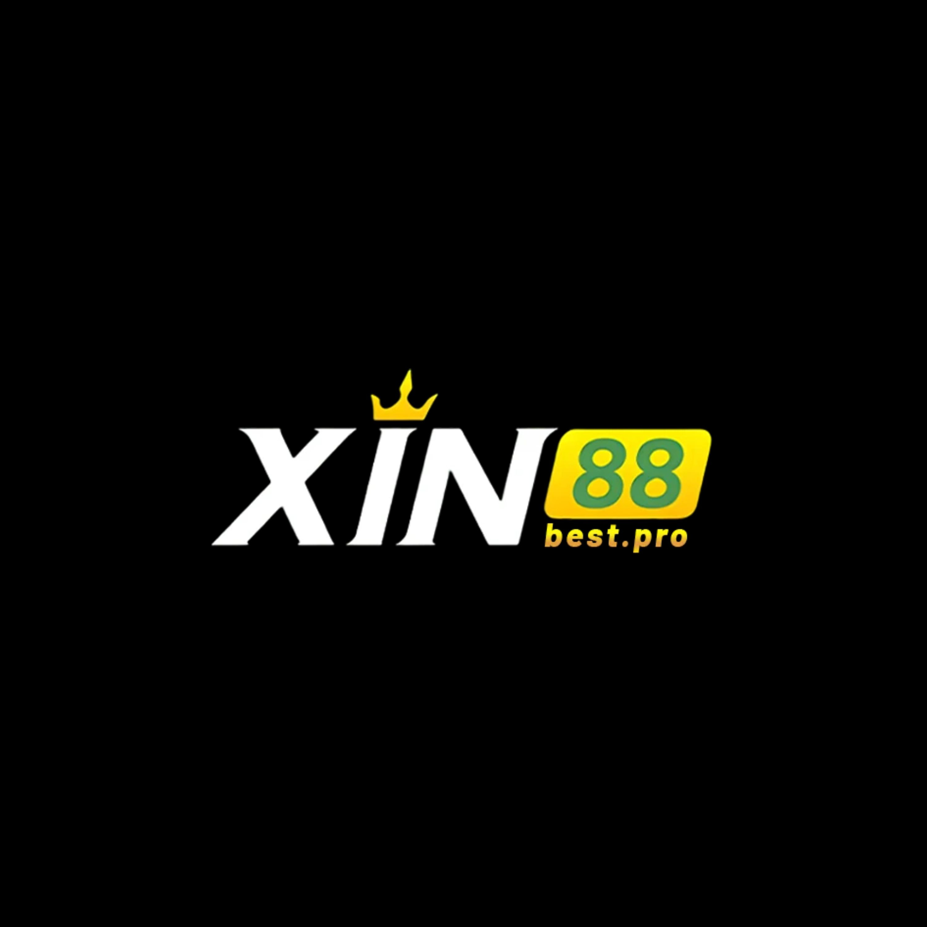 xin88