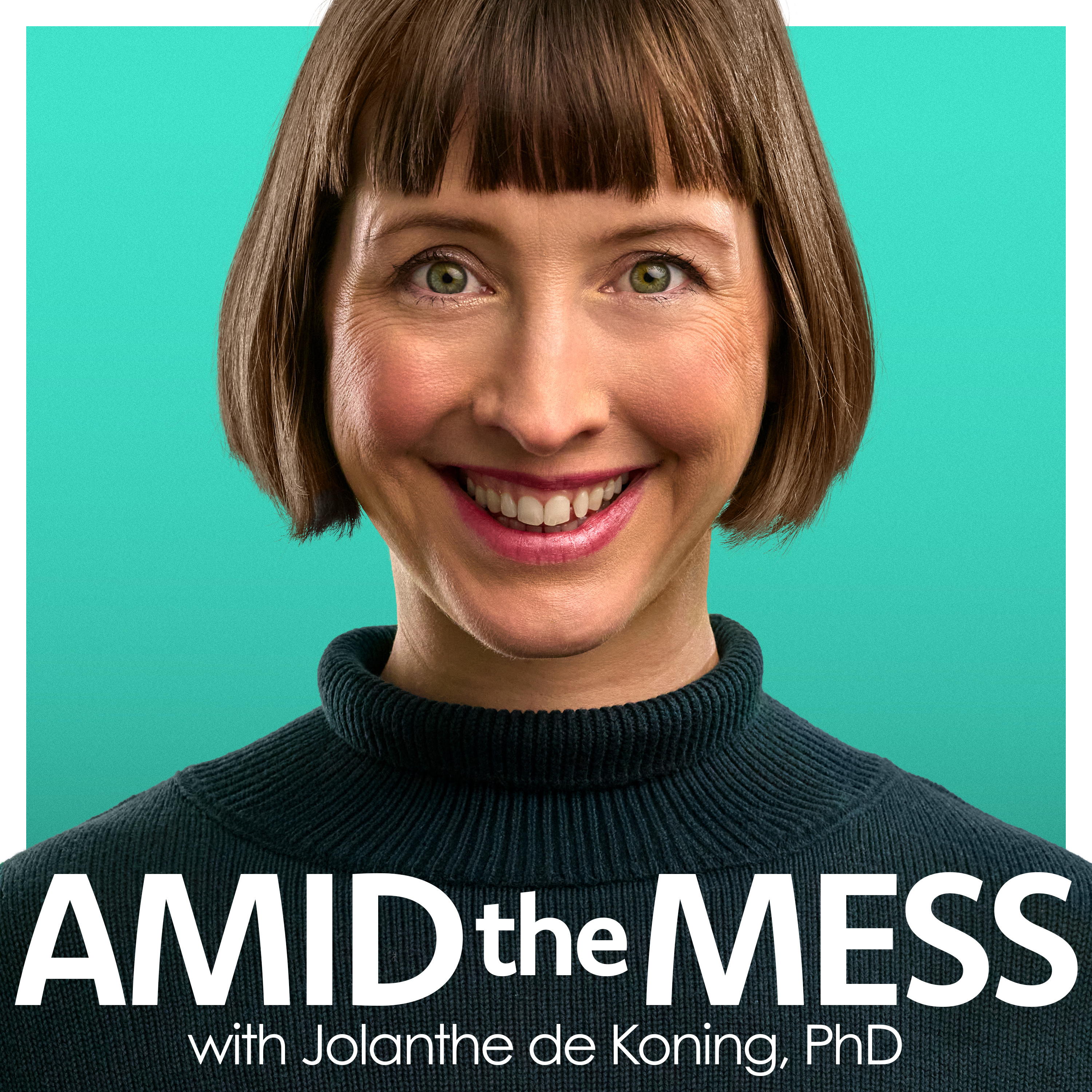 Amid The Mess; Health and Happiness for Parents