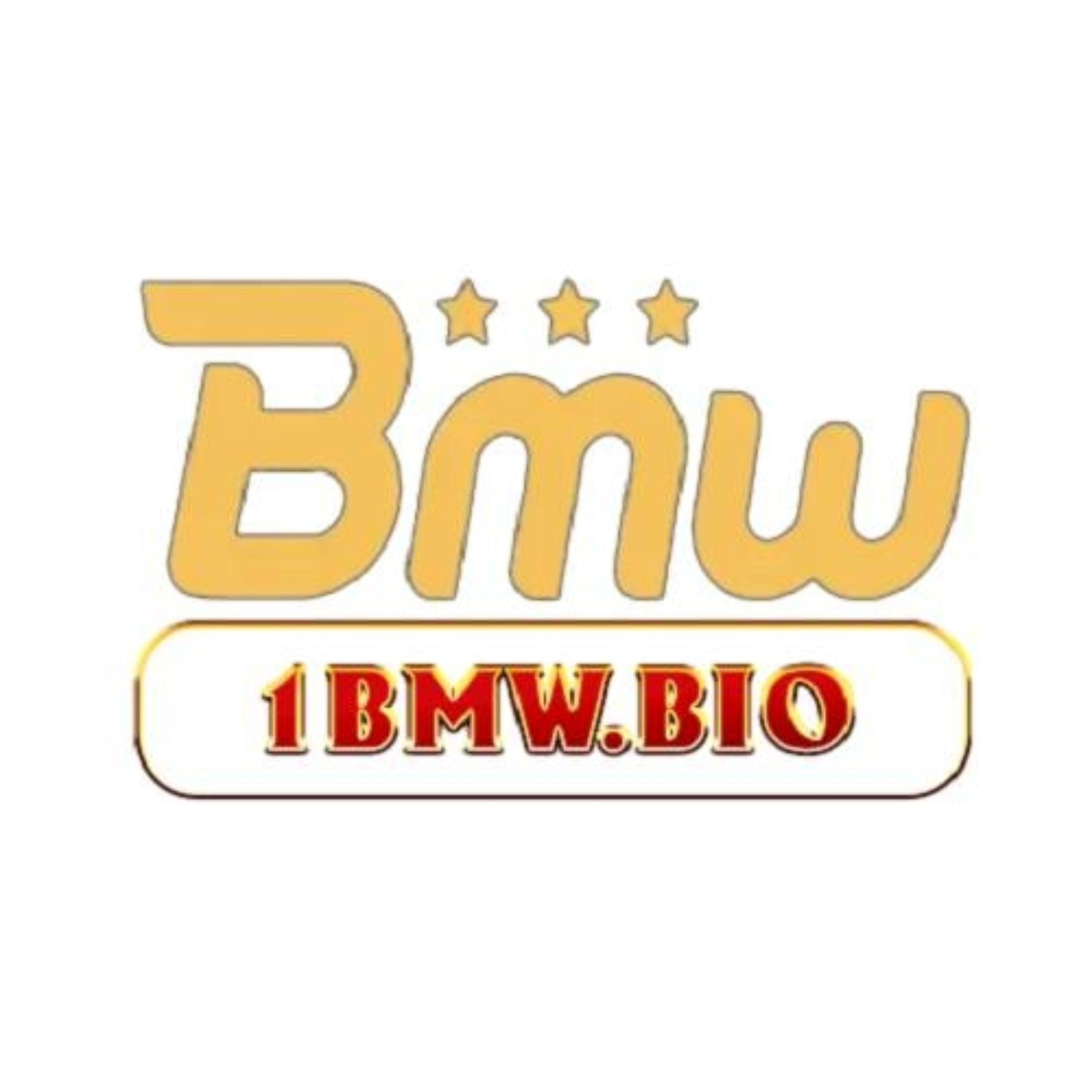 1BMW