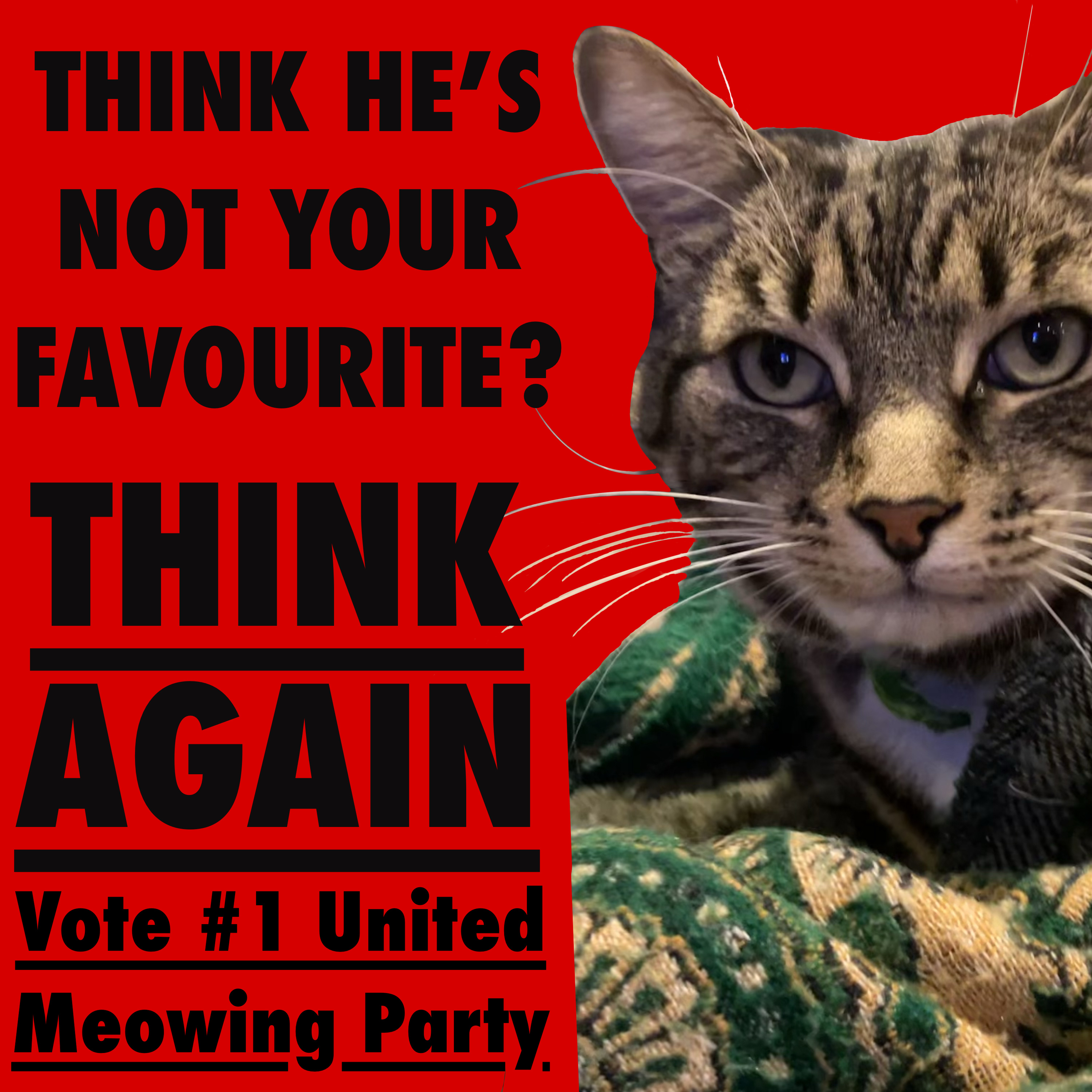 United Meowing Party Podcast podcast artwork