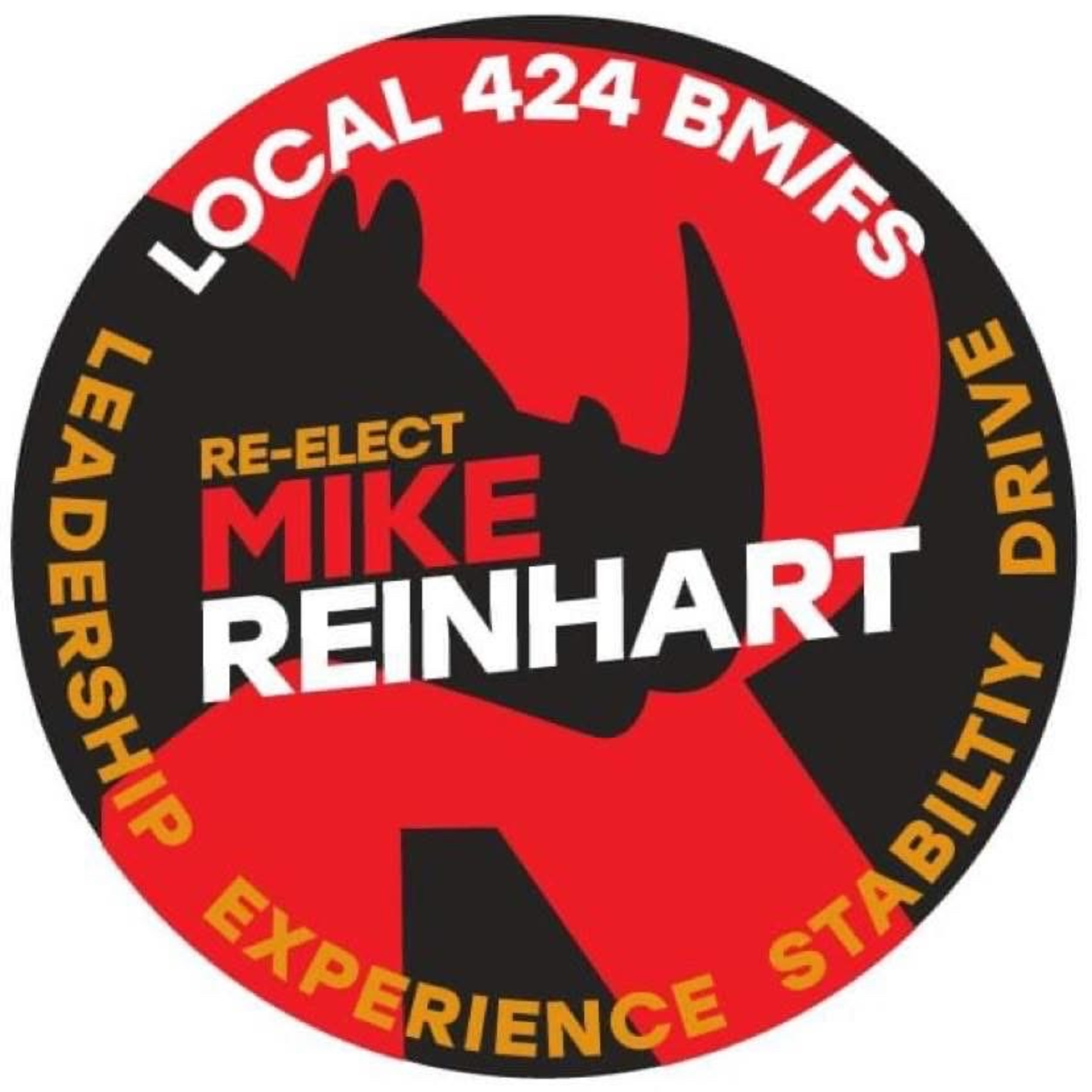 Elect Mike Reinhart podcast artwork