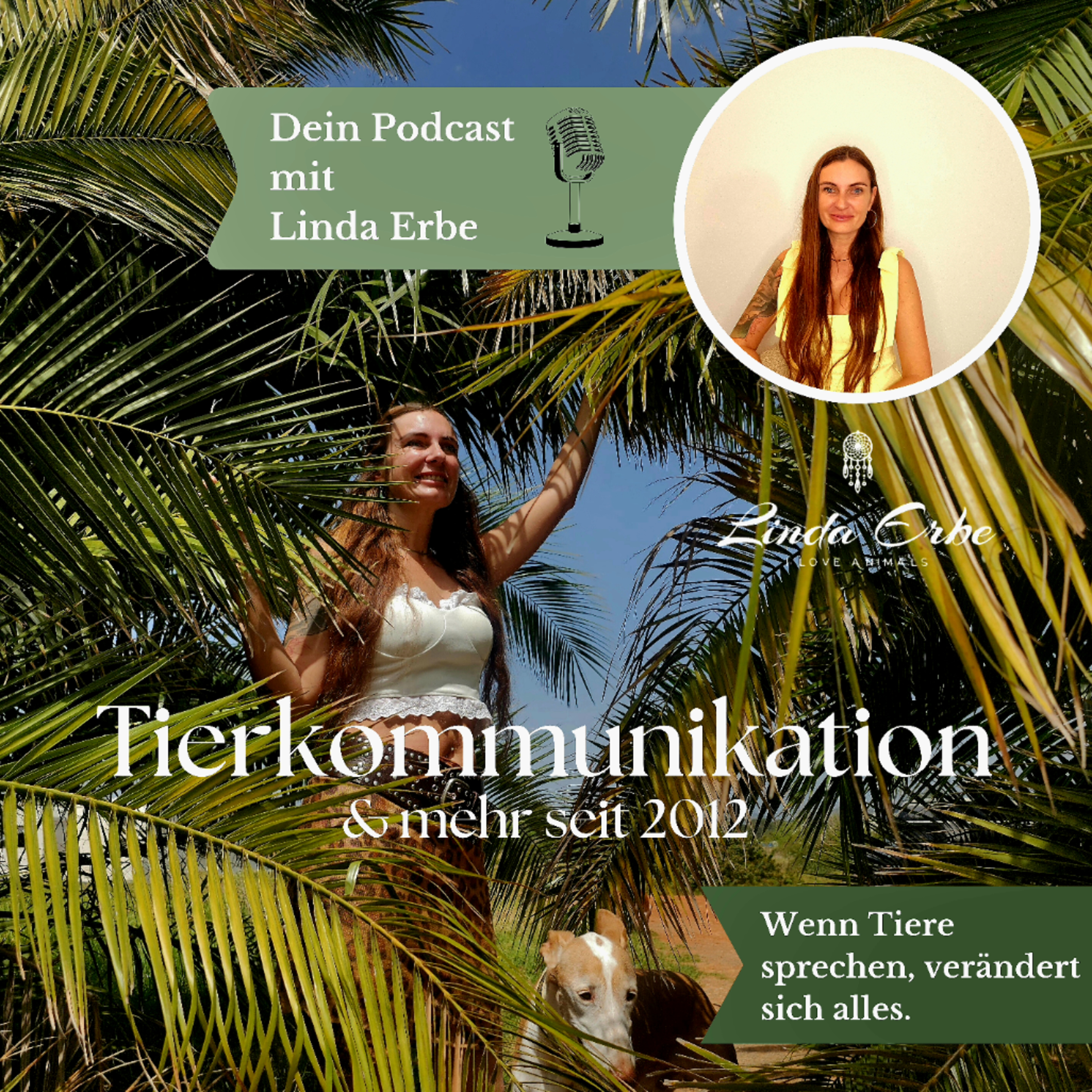 Hör auf dein Tier - Tierkommunikation mit Linda Erbe