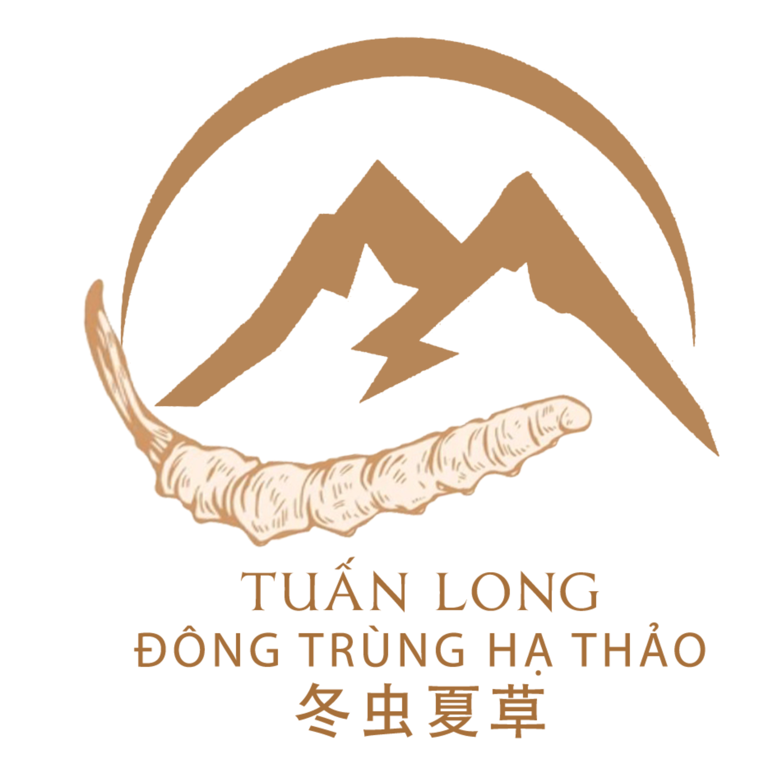 Đông trùng Tuấn Long podcast artwork
