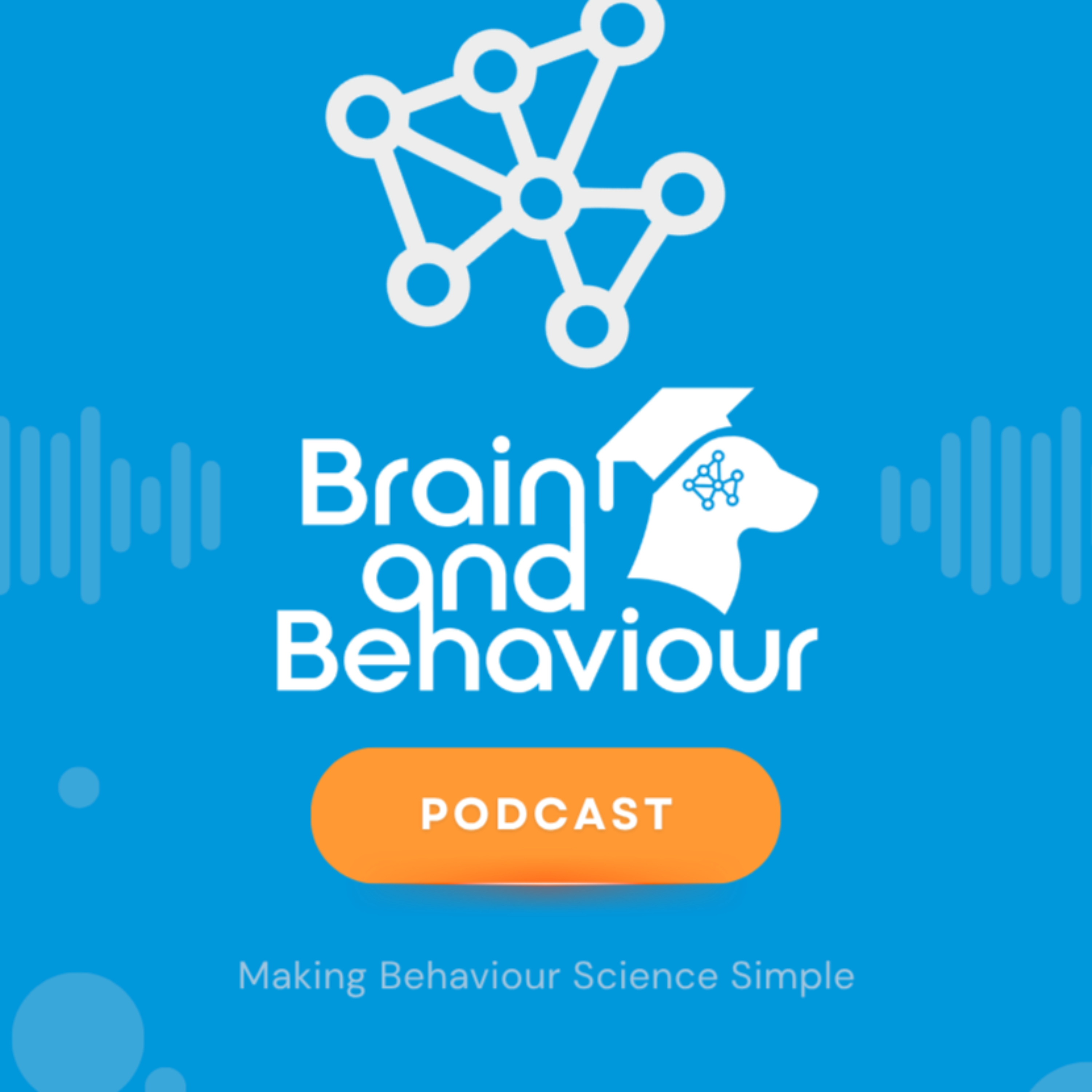 Brain and Behaviour Artwork