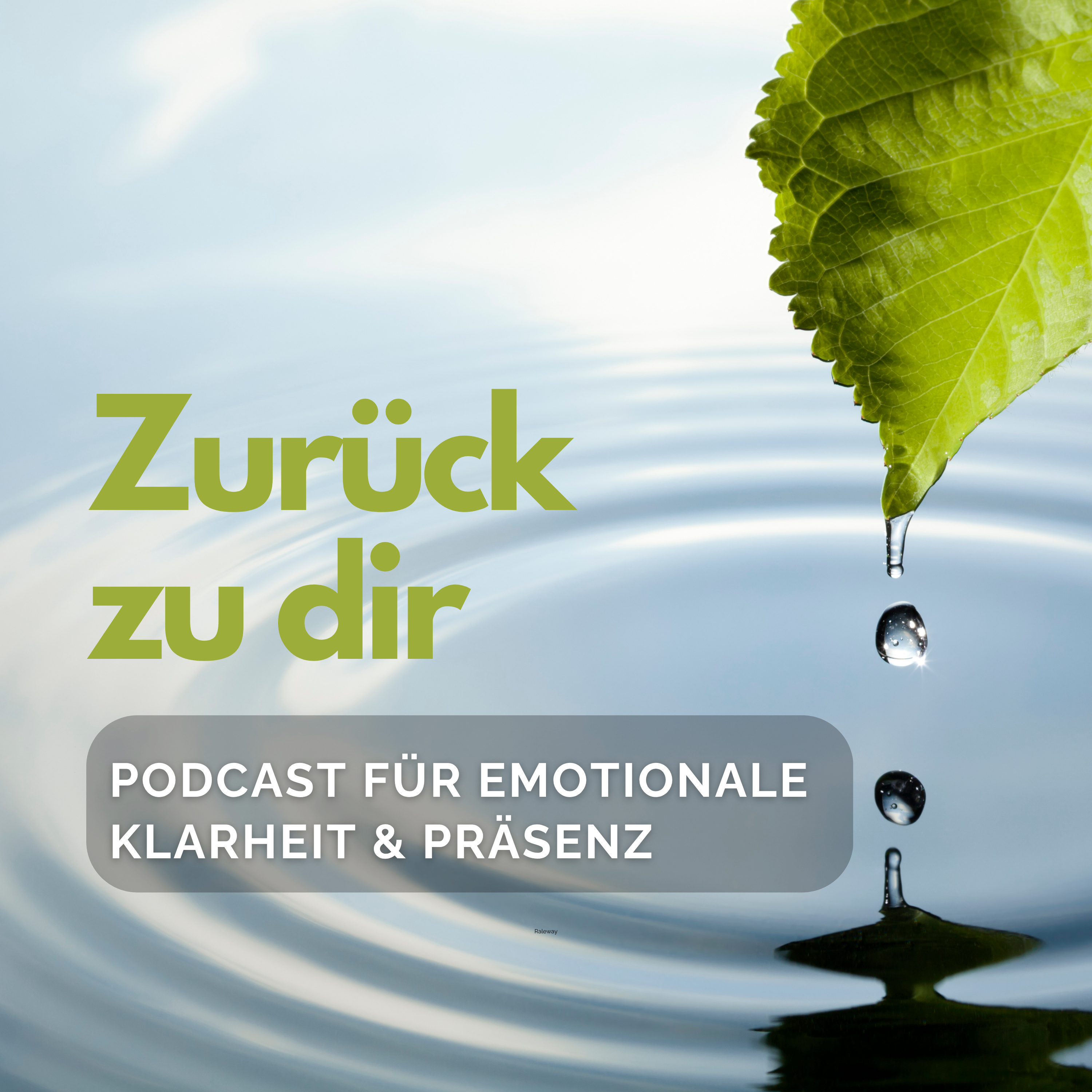 Zurück zu dir – Für emotionale Klarheit & Präsenz