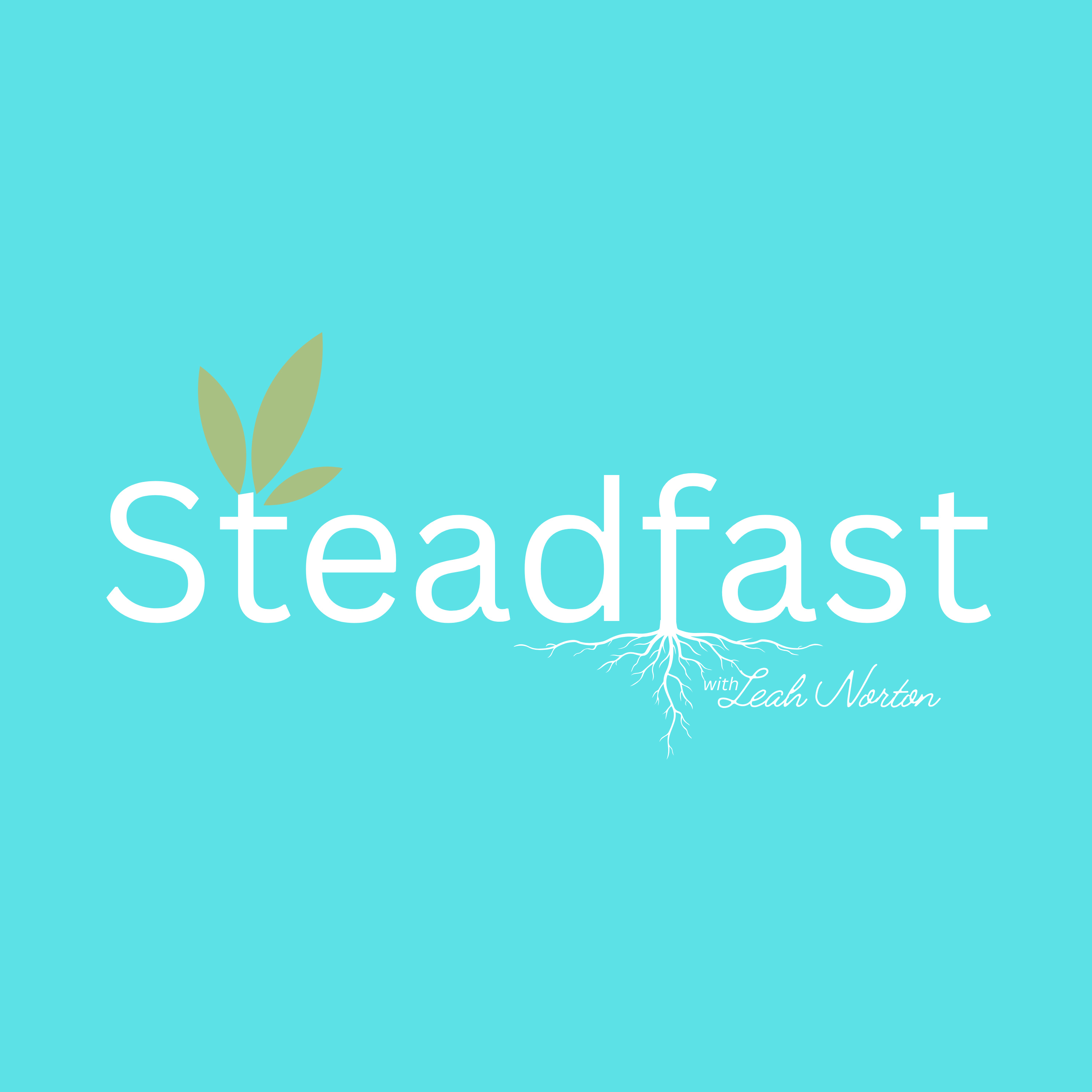Steadfast
