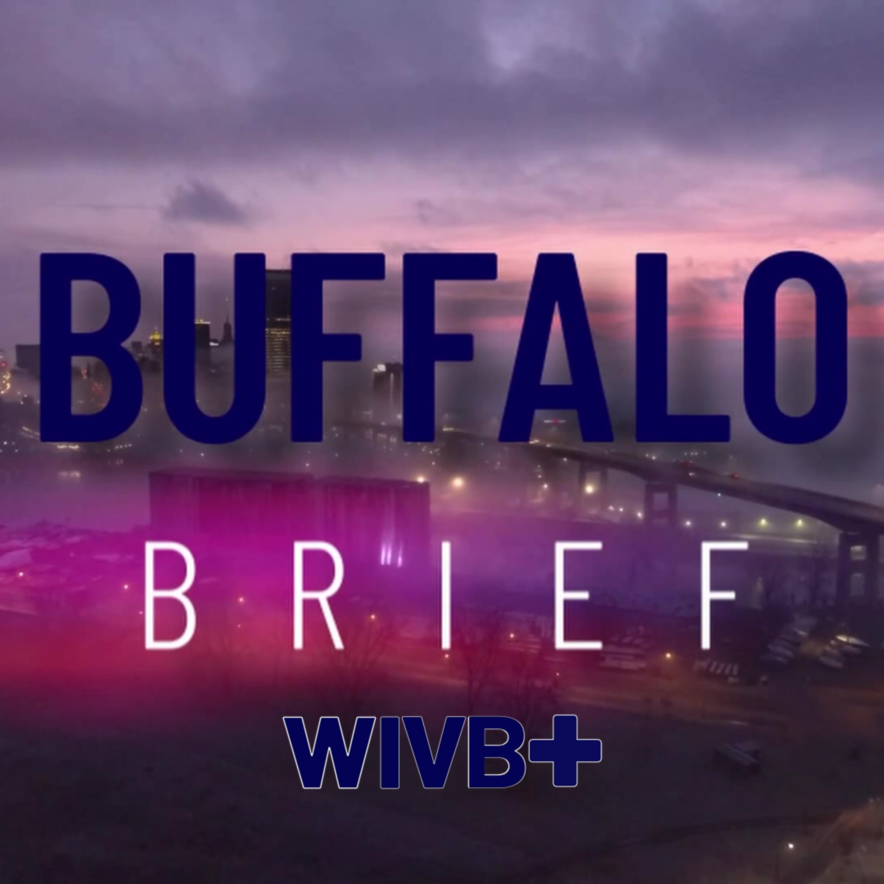 Buffalo Brief