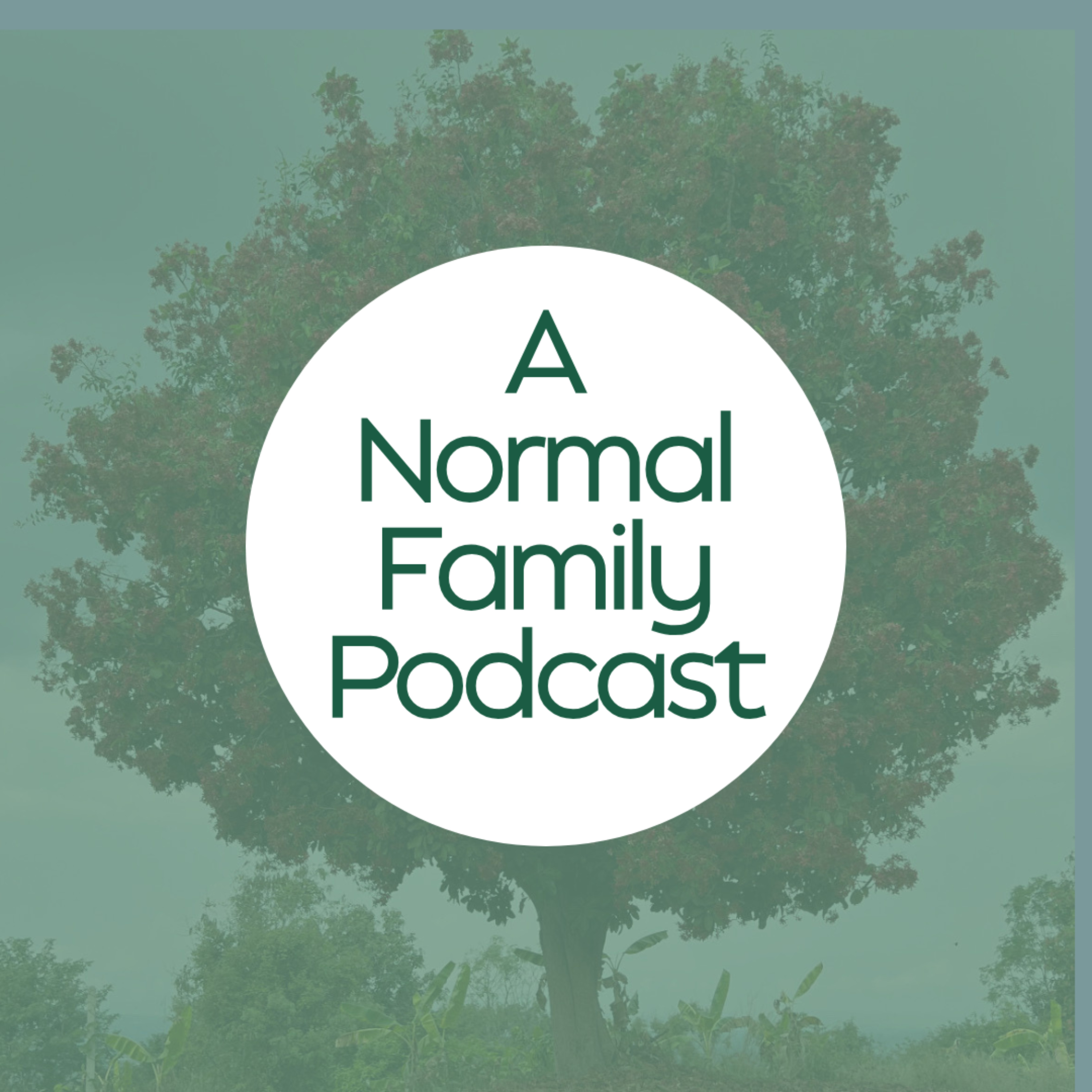 A Normal Family: modern family life, trauma & healing