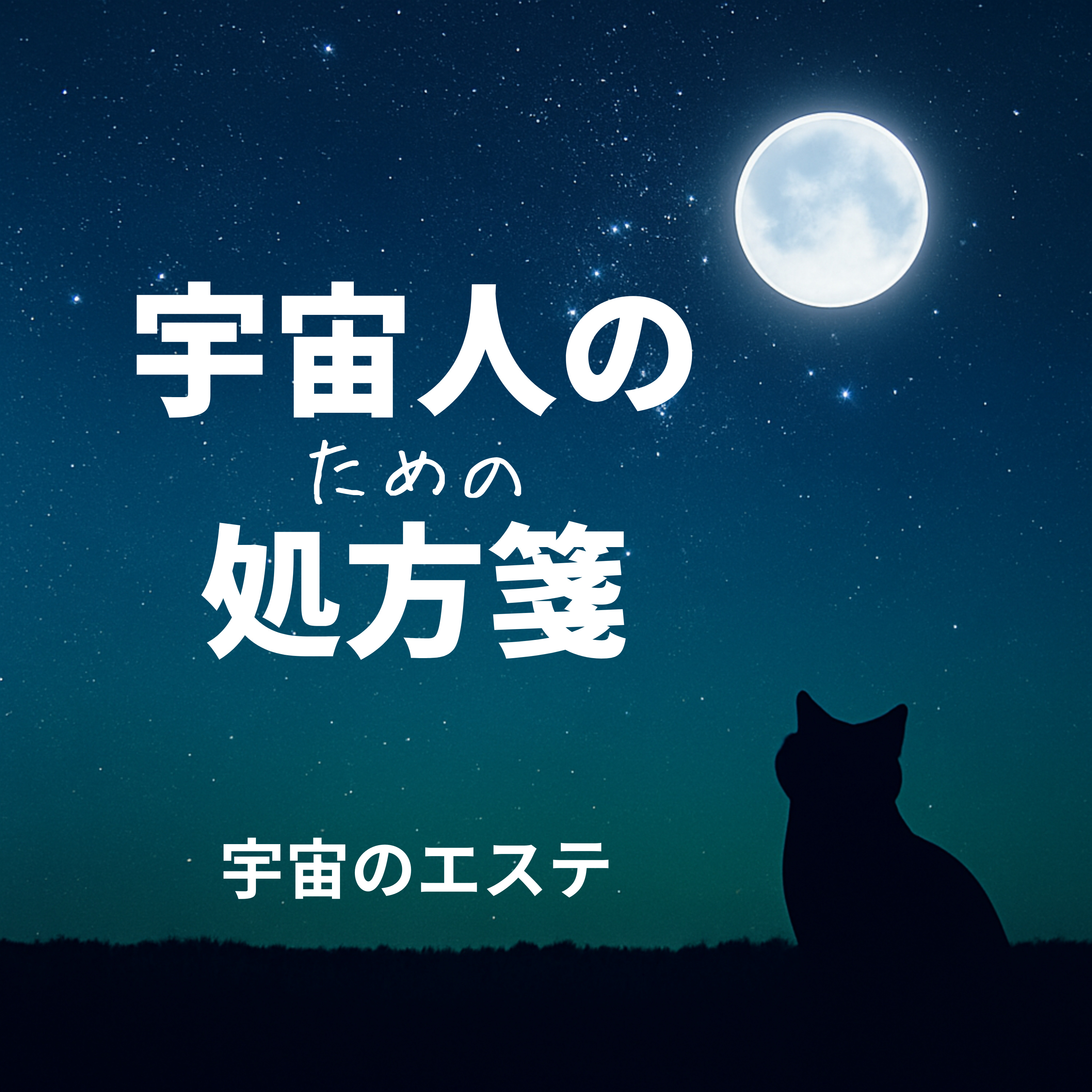 宇宙人のための処方箋