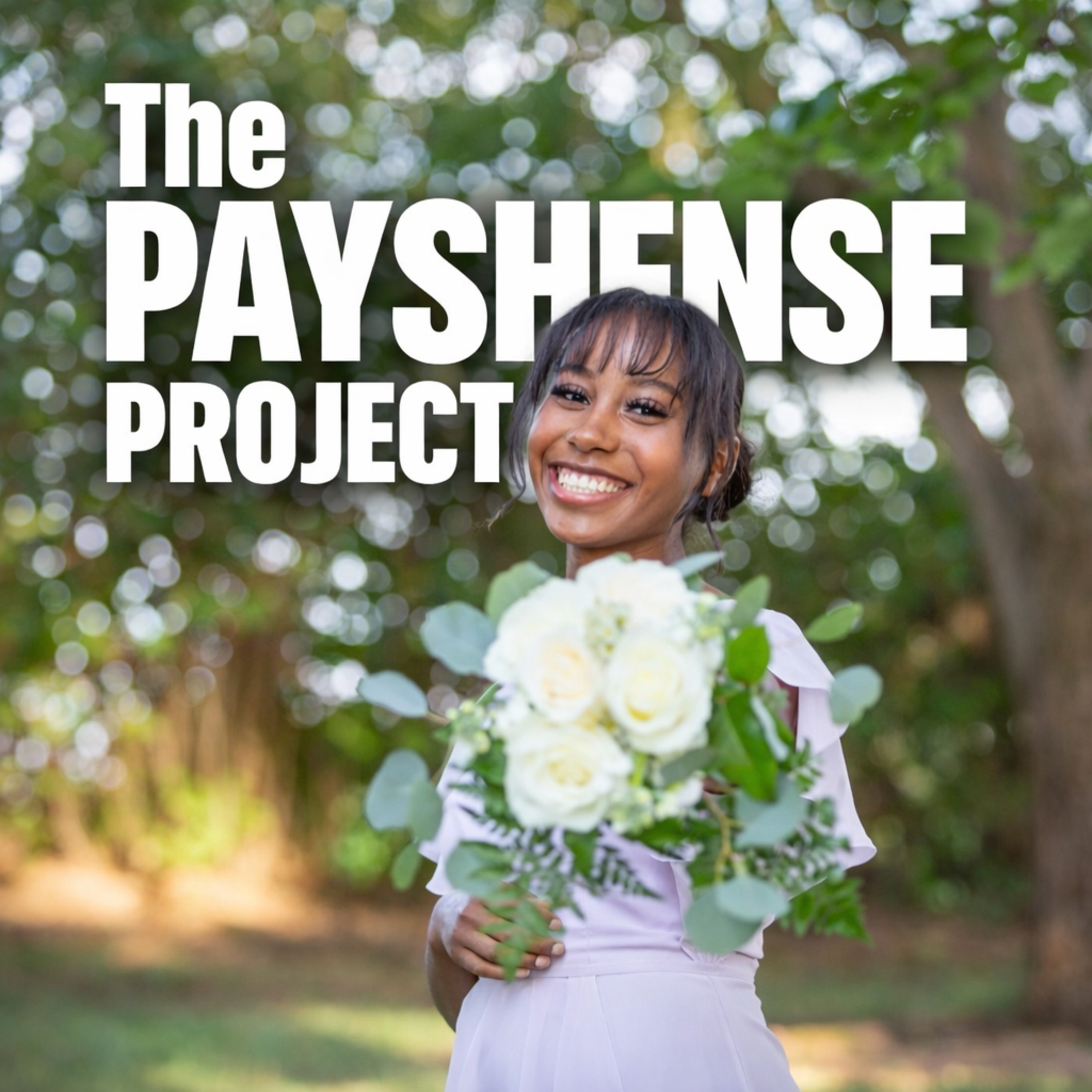 The Payshense Project cover art