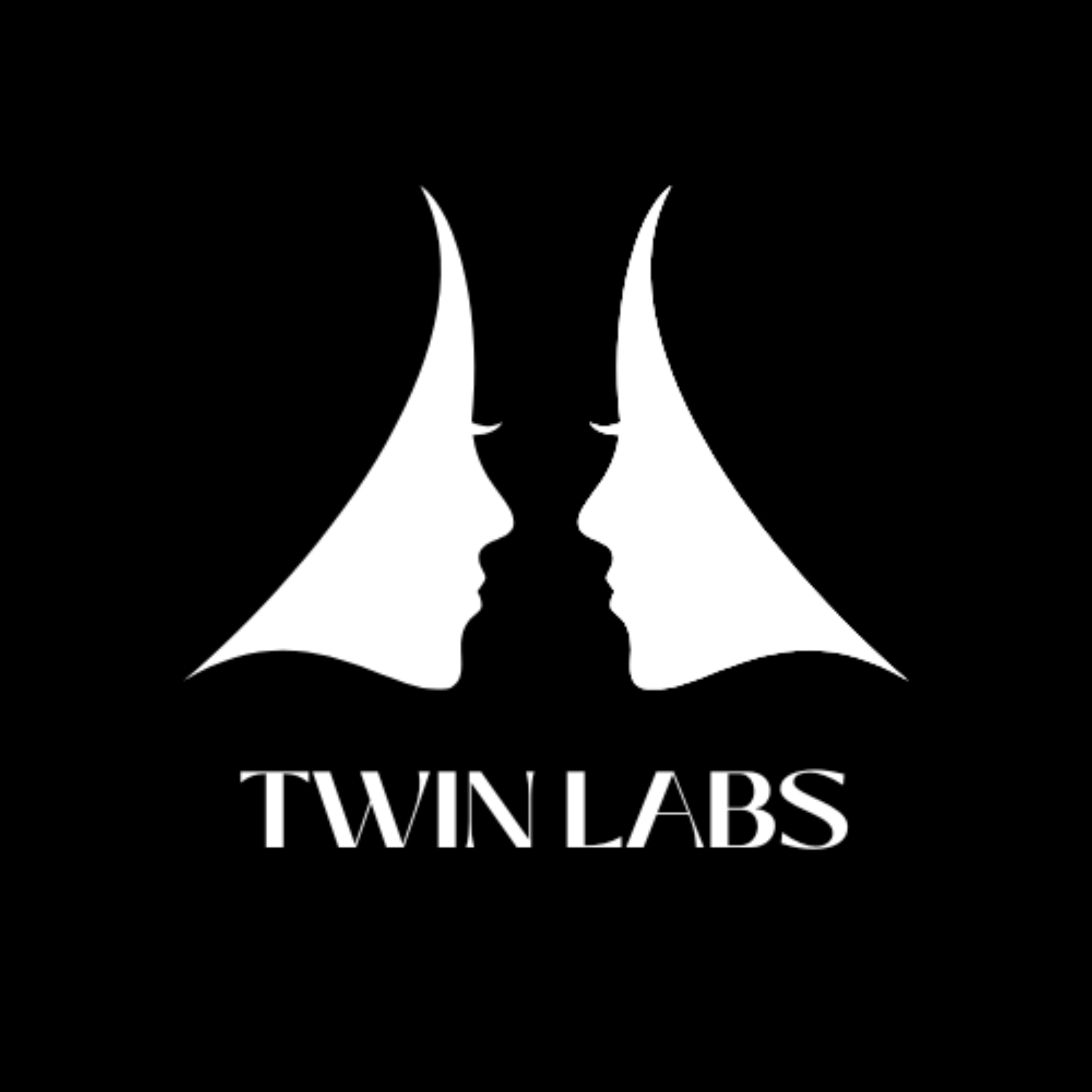Twin Labs cover