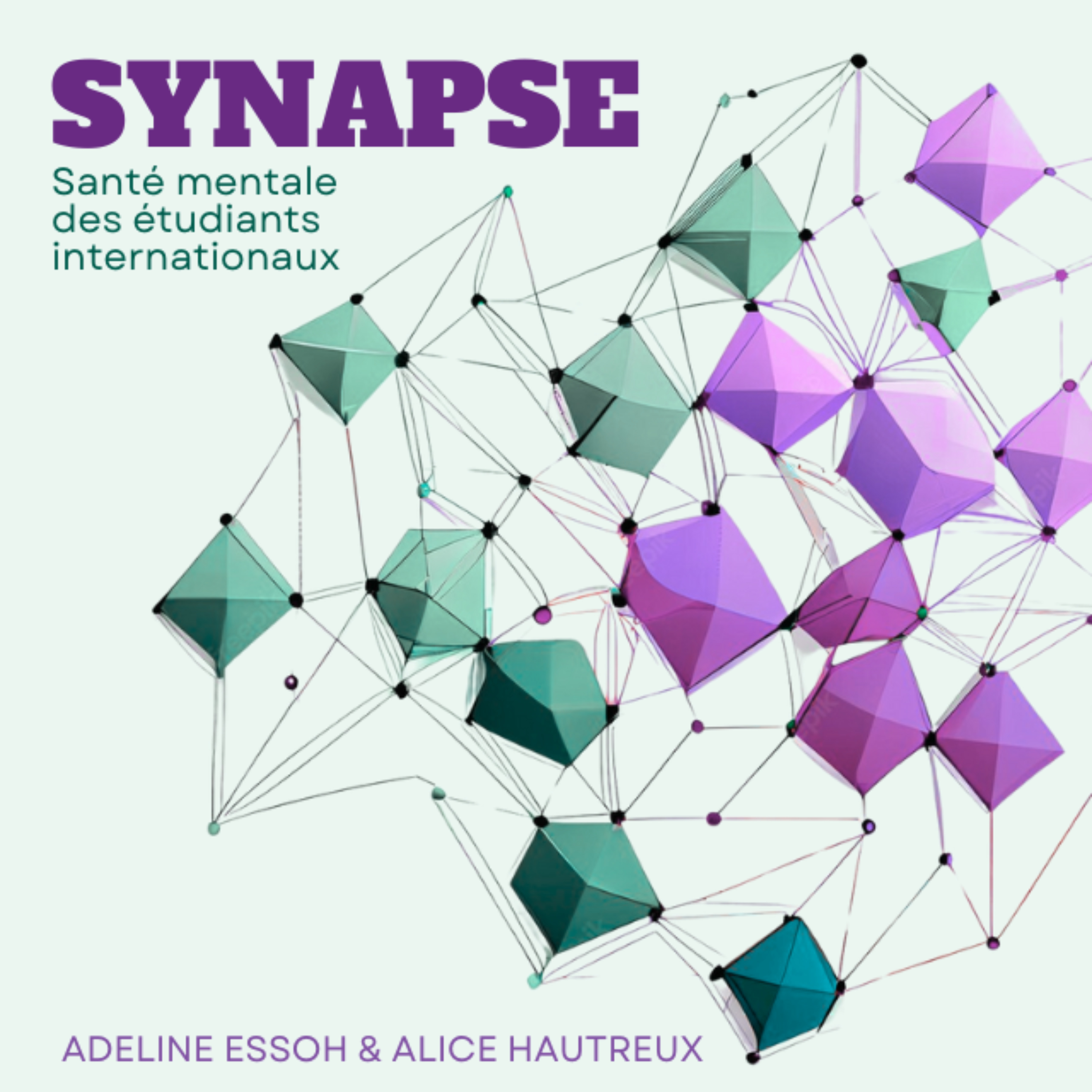 Synapse : Santé Mentale des Étudiants Internationaux Francophones (Canada)
