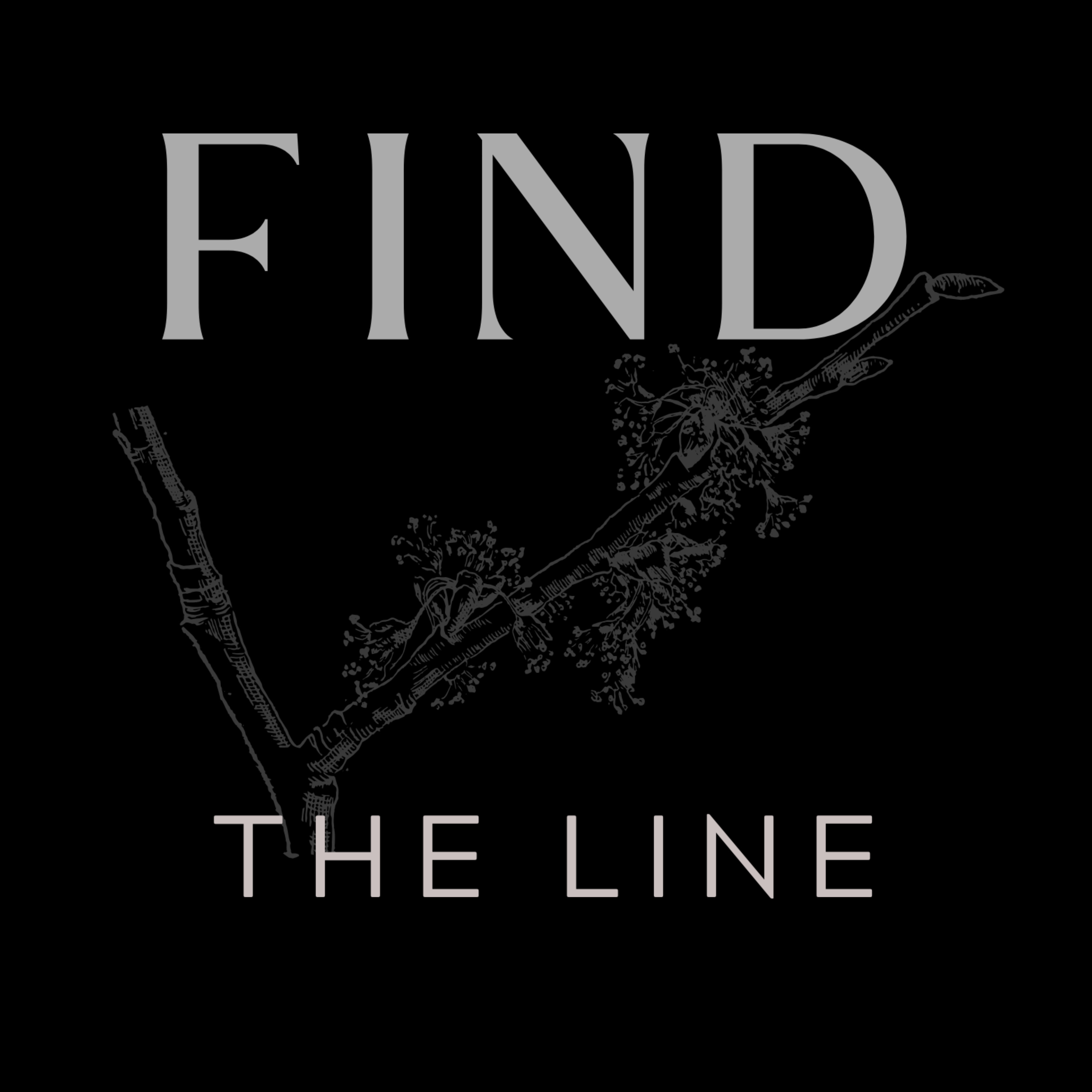 Find The Line