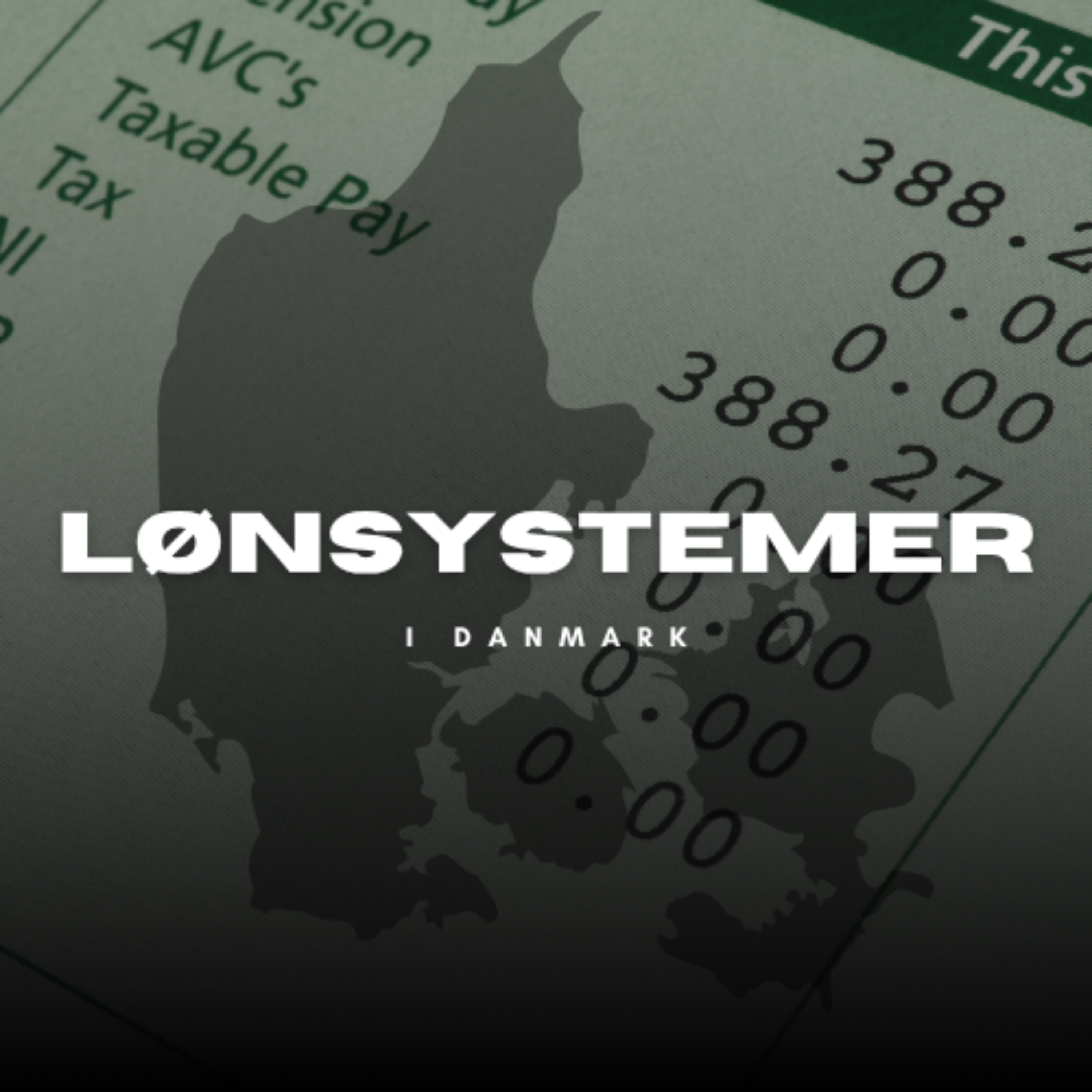 Guide til lønsystemer af PaaRaad