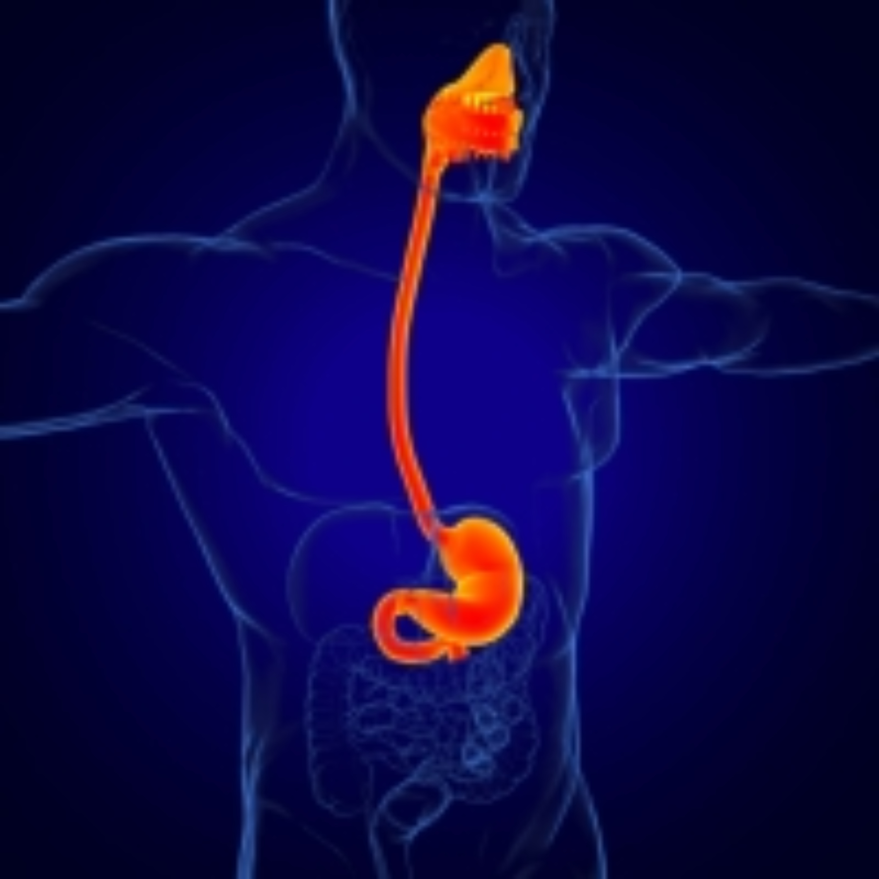 Navigating Gastrointestinal Challenges: Insight Into GERD and H. pylori Management podcast artwork