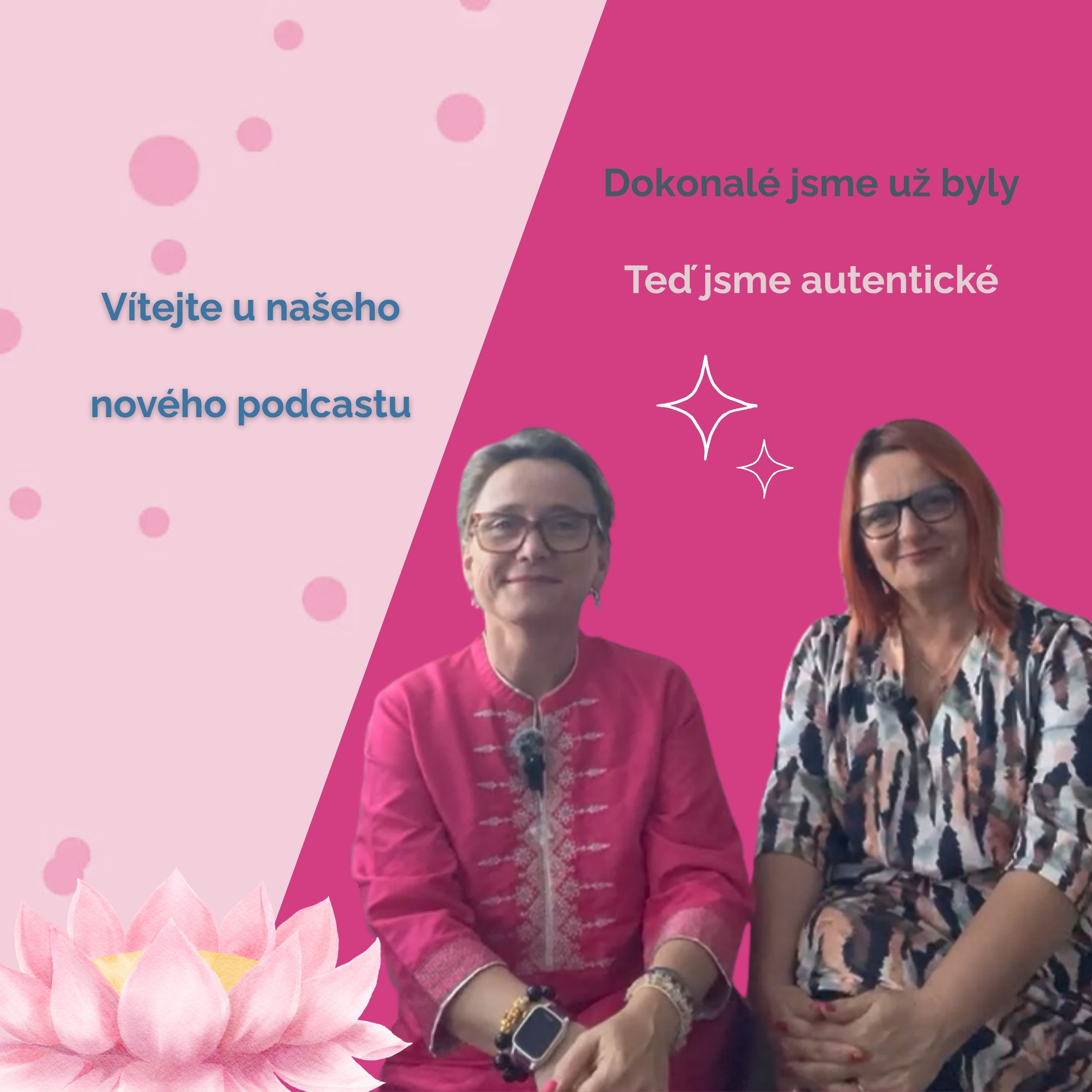 Dokonalé jsme už byly podcast artwork