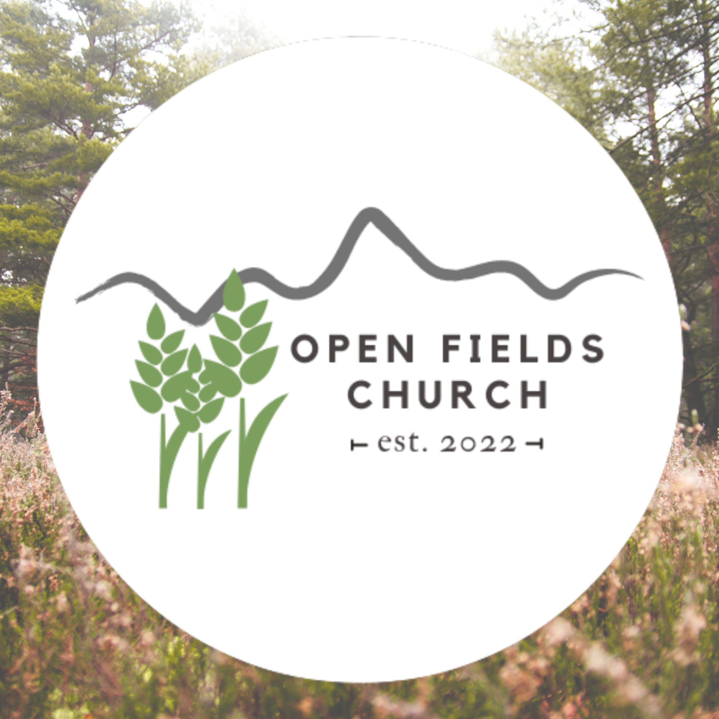 Open Fields Church