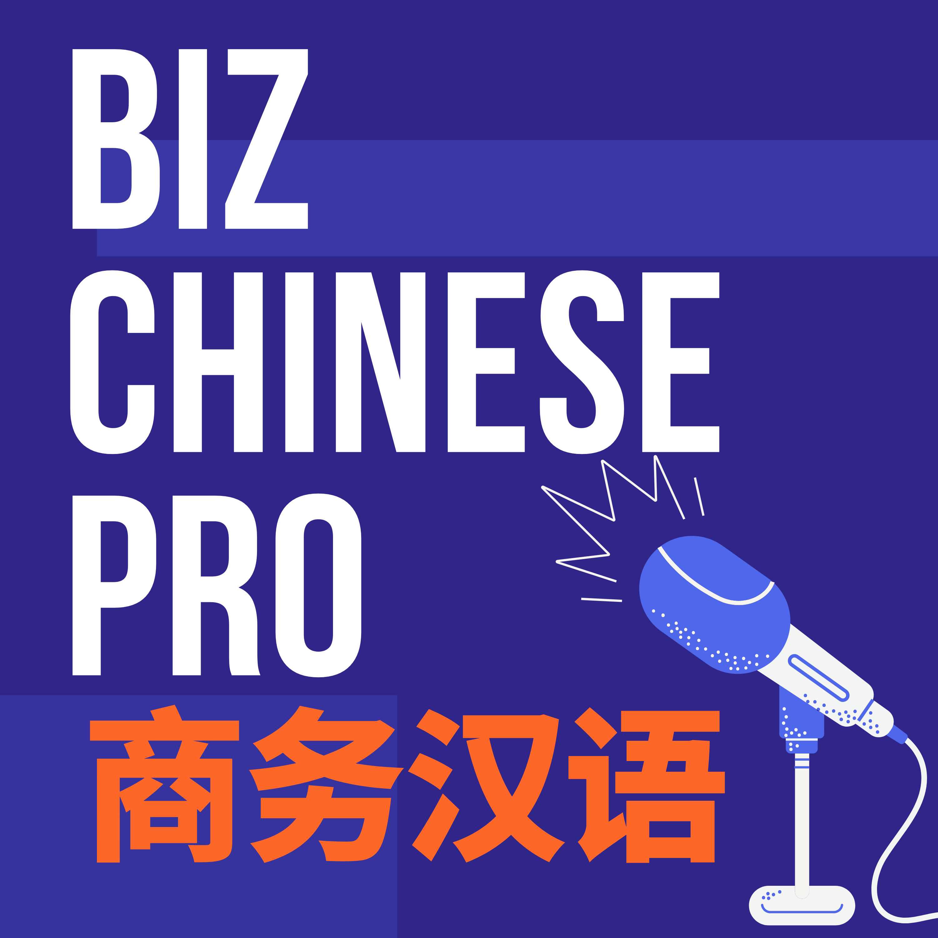 Biz Chinese Pro - 商务汉语