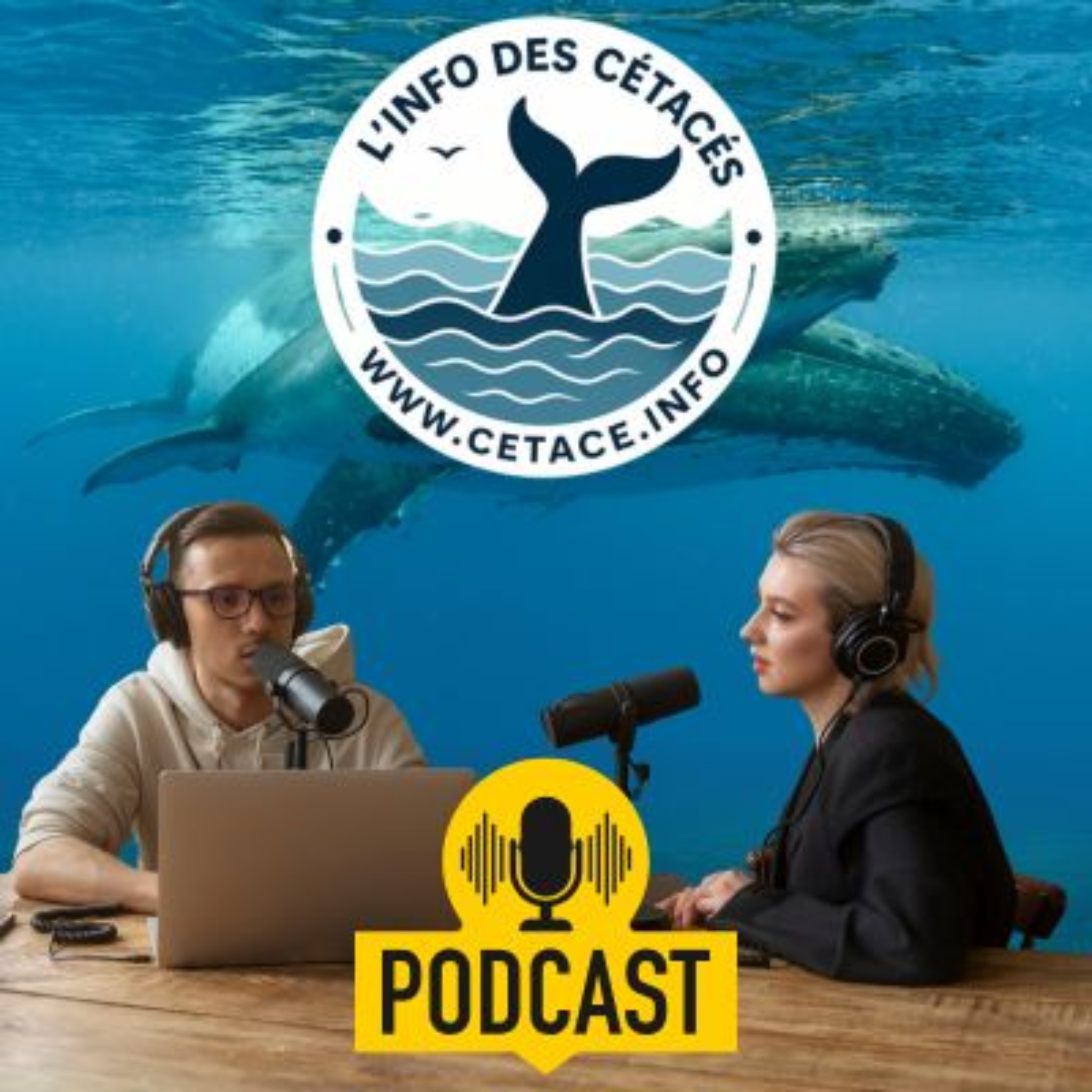 L\'info des cétacés